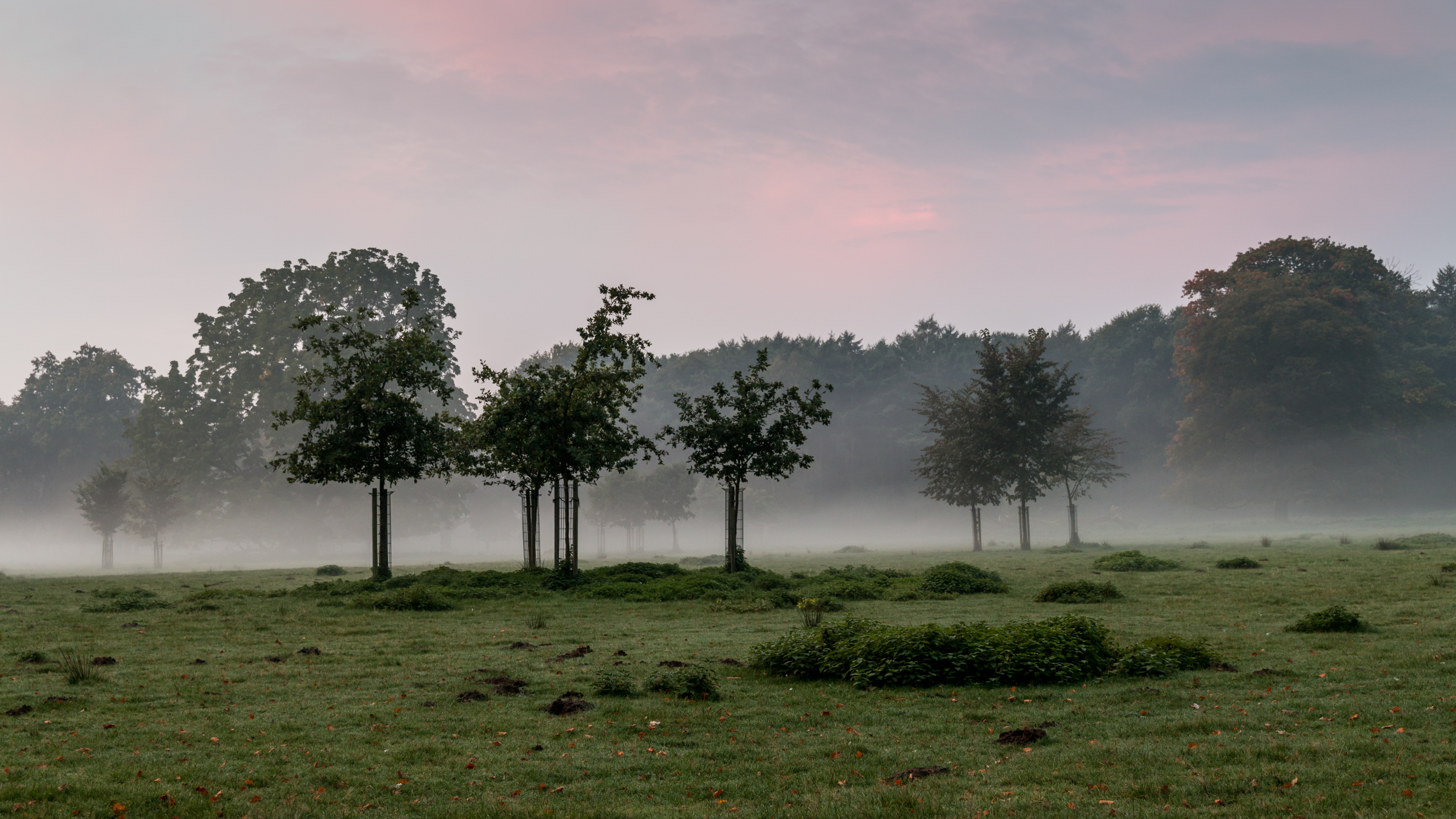 Dülmen, Wildpark -- 2015 -- 8795