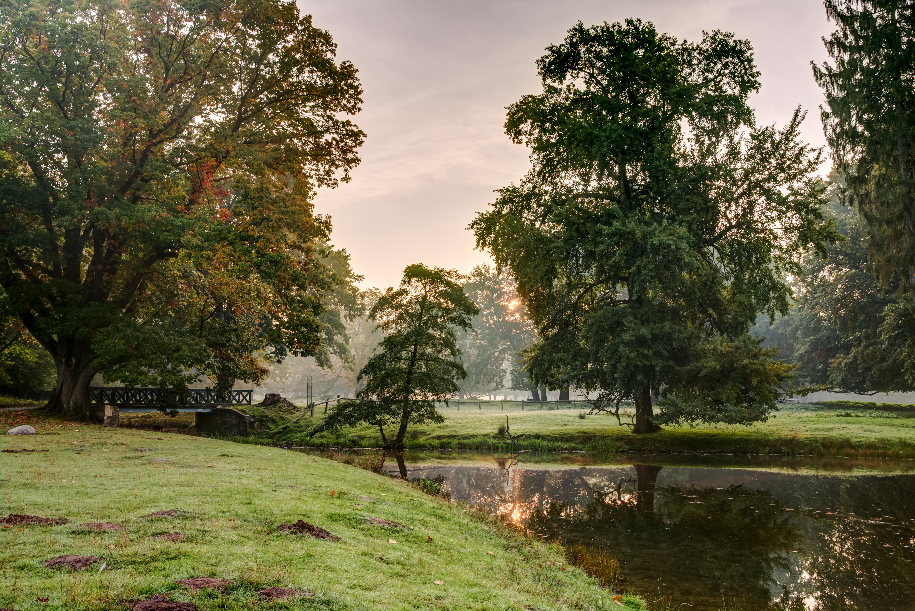 Dülmen, Wildpark -- 2015 -- 8843-9