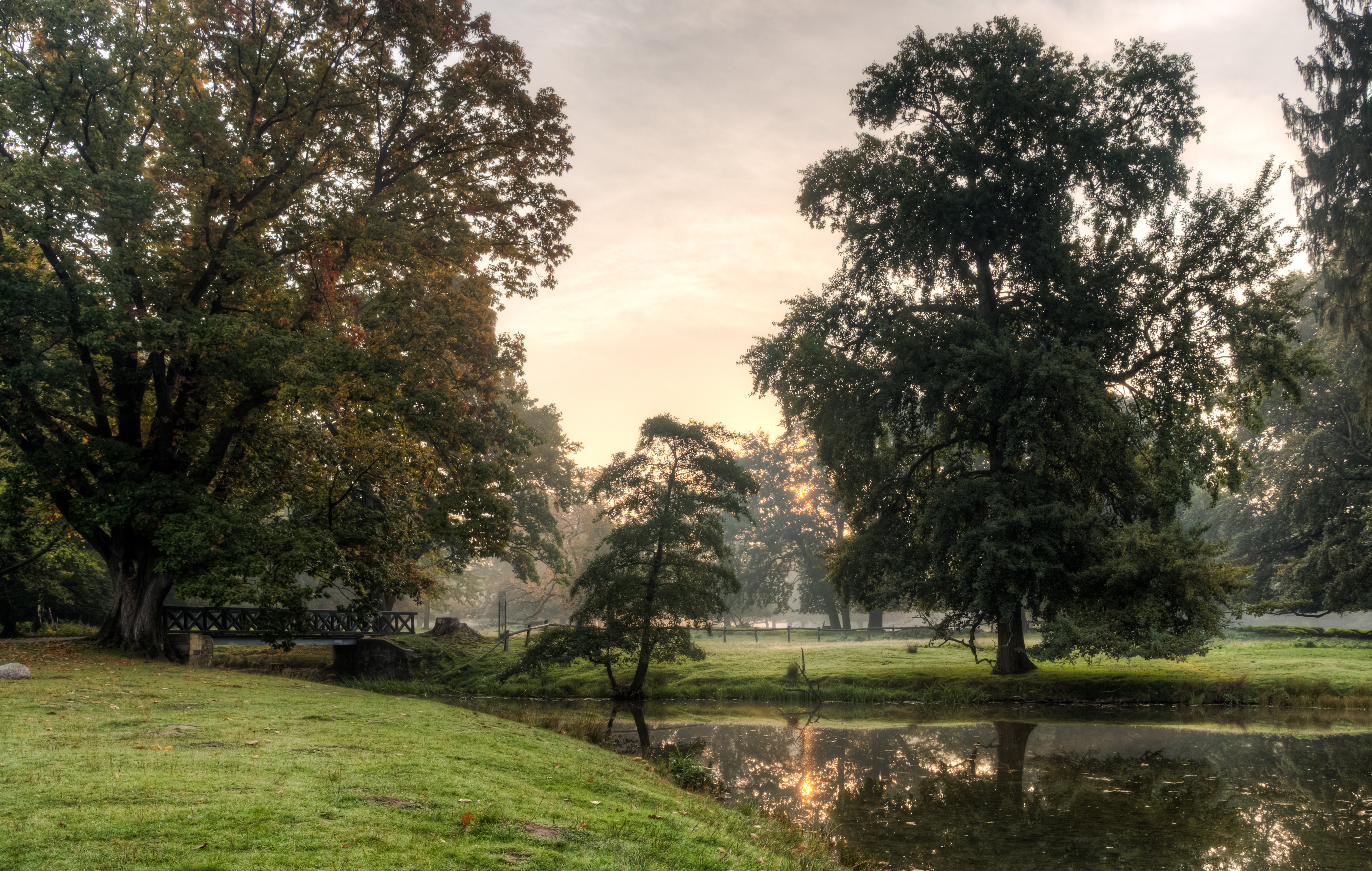 Dülmen, Wildpark -- 2015 -- 8857-63