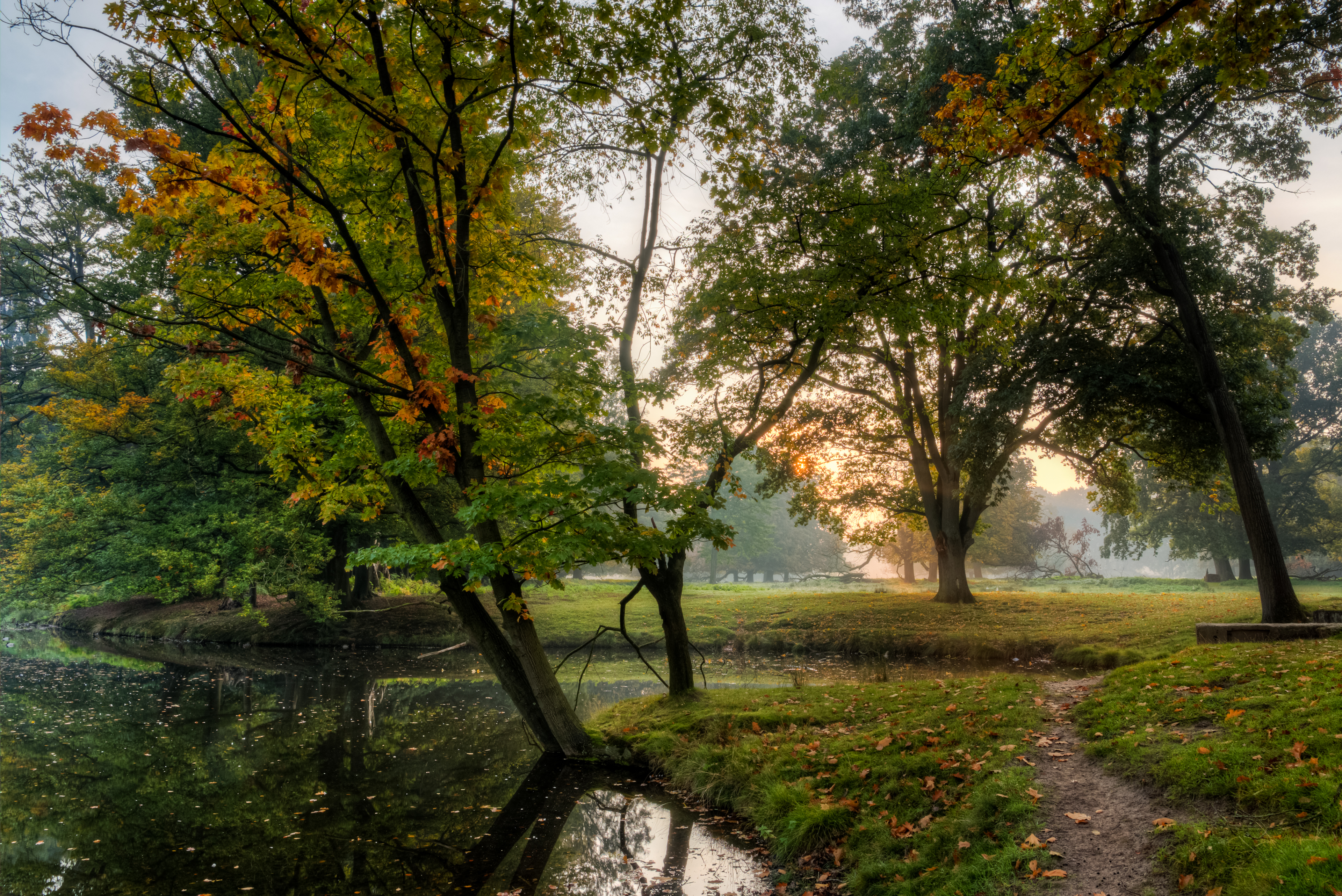 Dülmen, Wildpark -- 2015 -- 8864-70