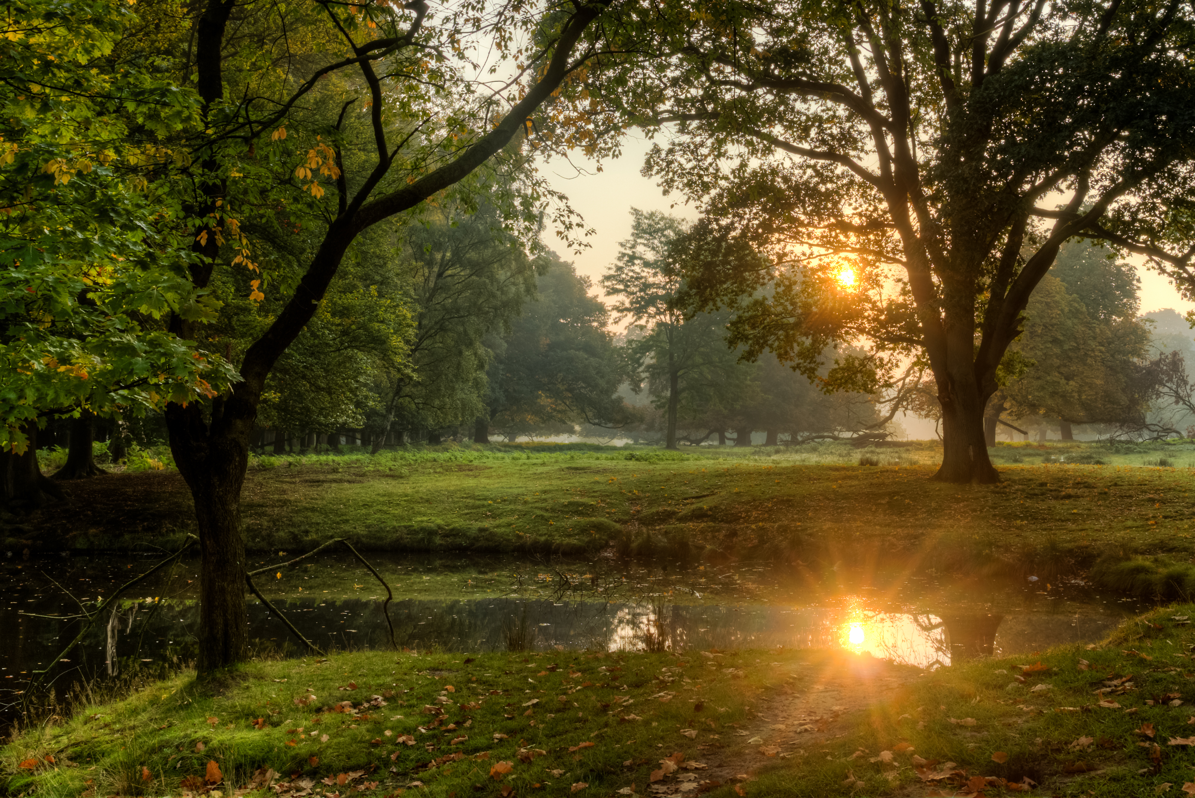 Dülmen, Wildpark -- 2015 -- 8871-7