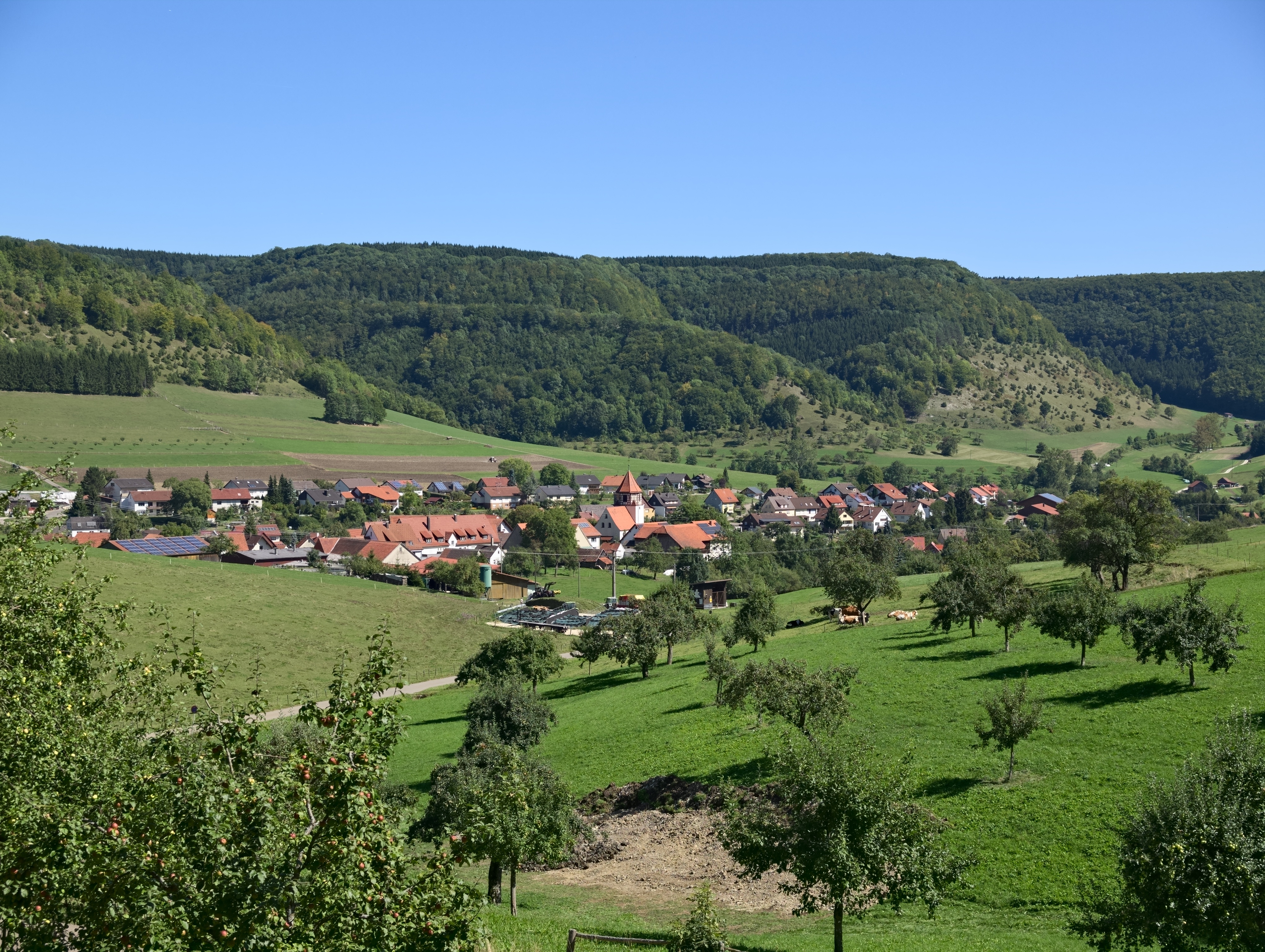 Degenfeld-2
