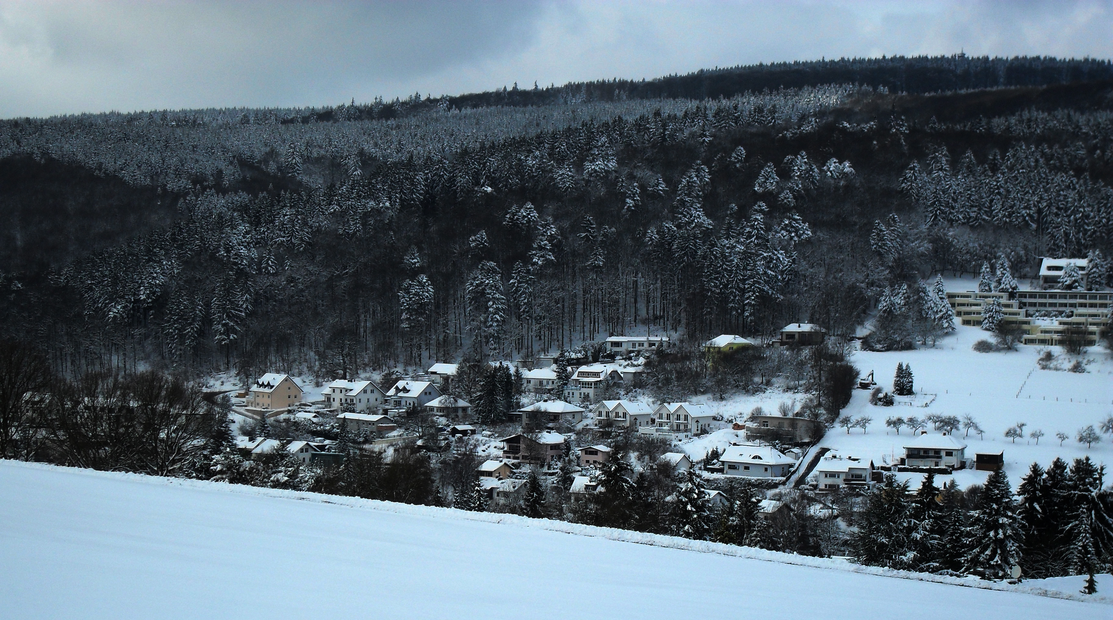 Dorfweil Schmitten Hessen Germany 2010 01 31 0005