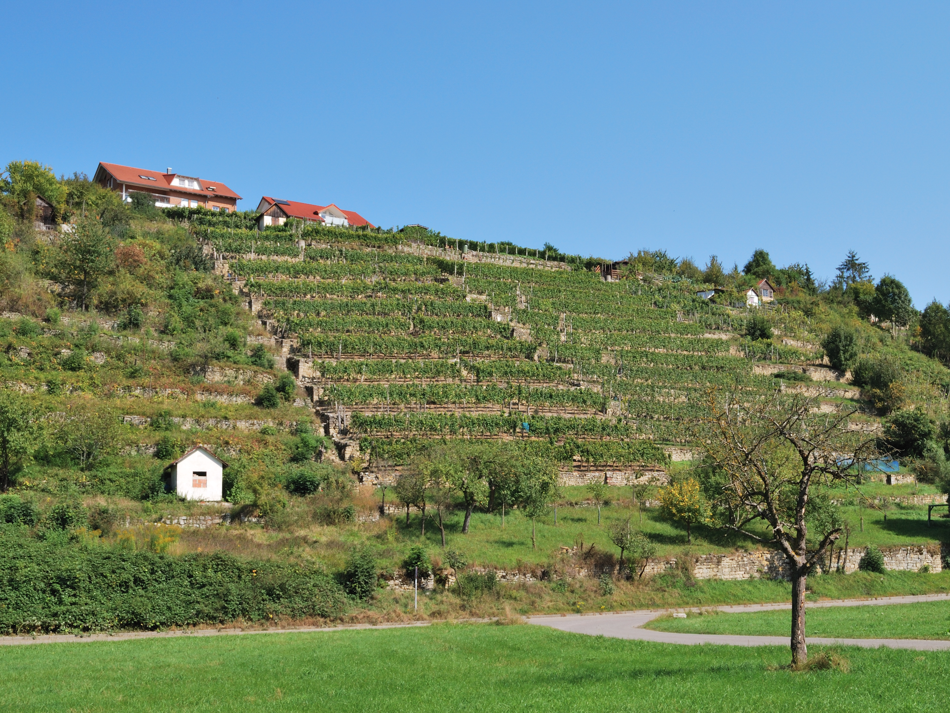 Glemstal Markgröningen (1)