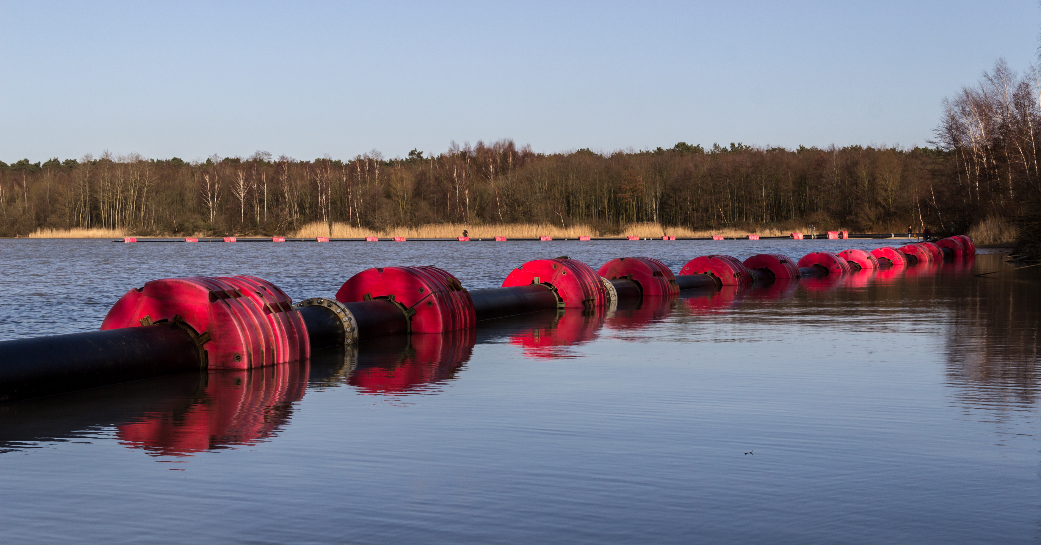 Haltern am See, Silbersee III -- 2014 -- 13