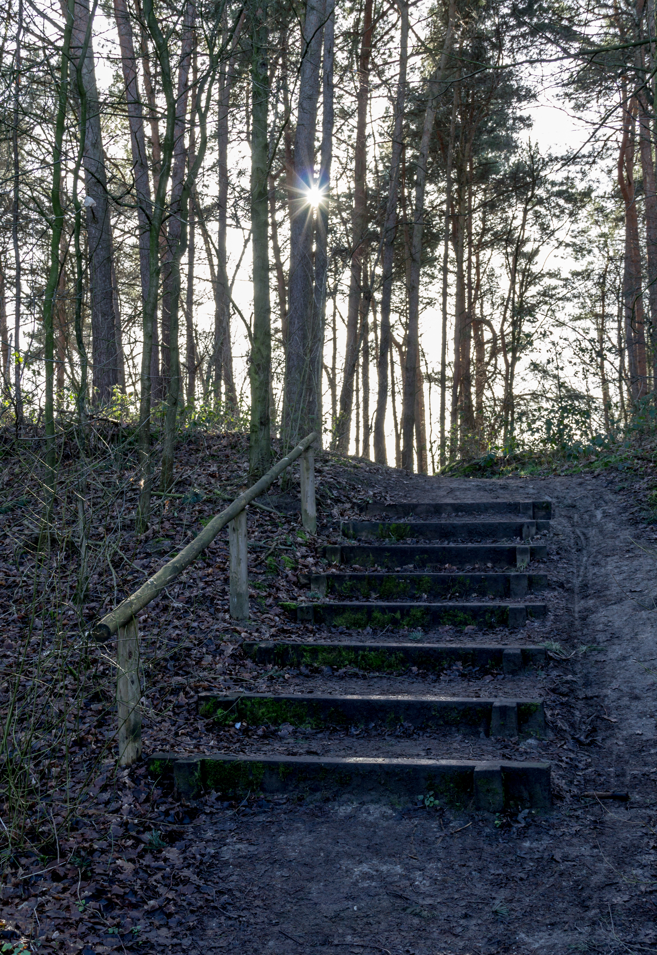 Haltern am See, Silbersee III -- 2014 -- 8