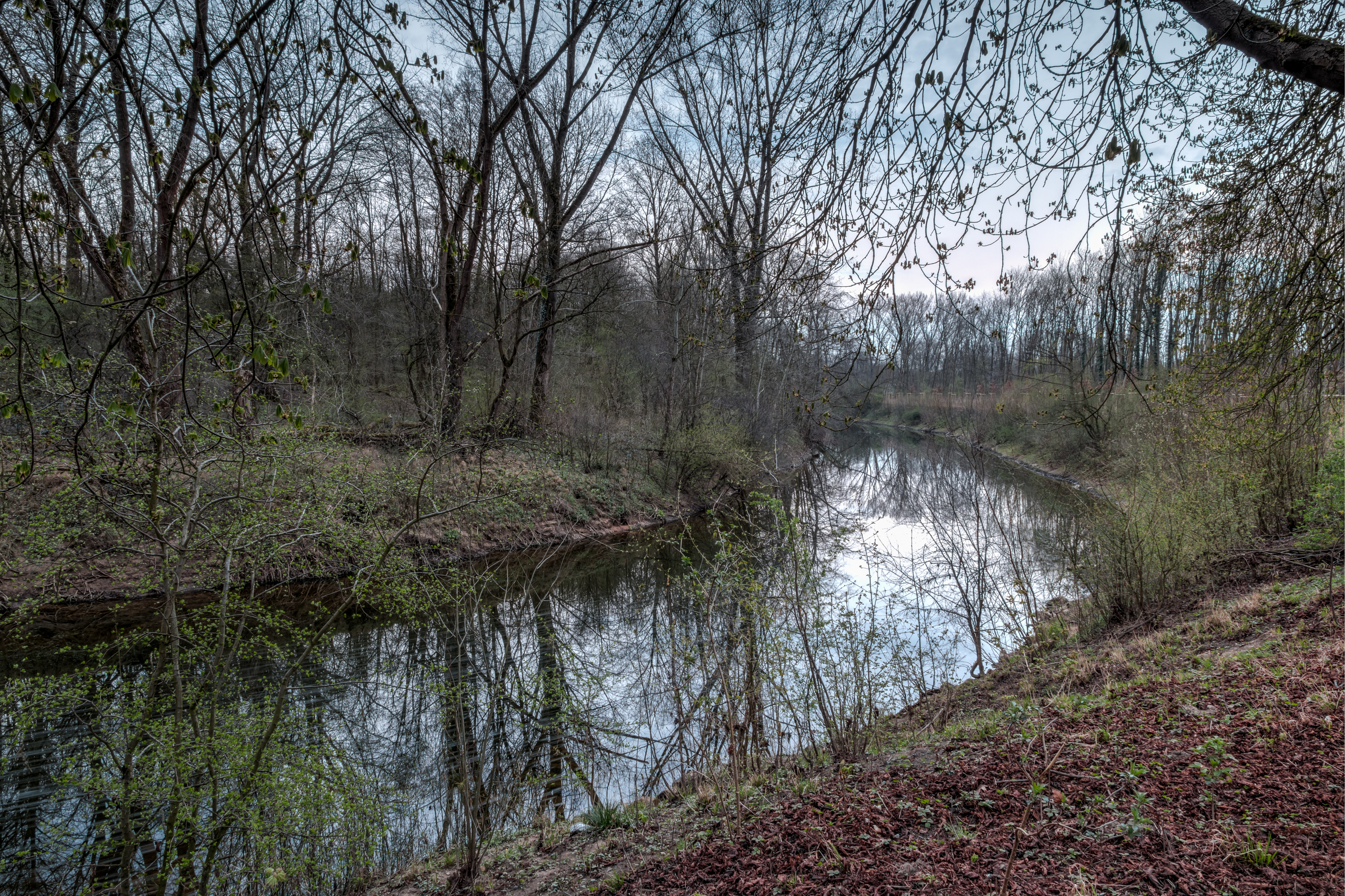 Haltern am See, Stever (NSG Lippeaue) -- 2016 -- 1770-4