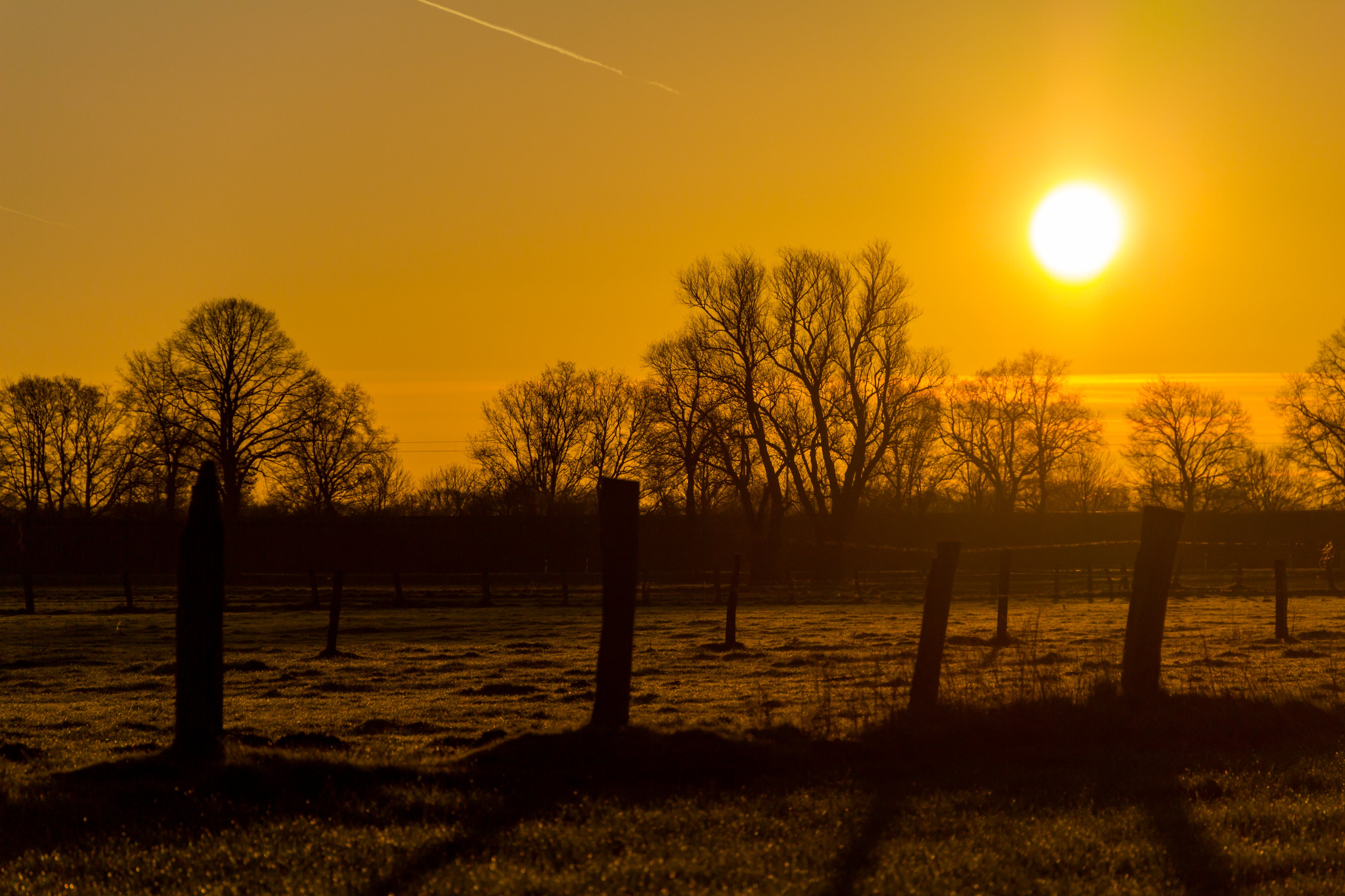 Hausdülmen, Feld -- 2014 -- 3