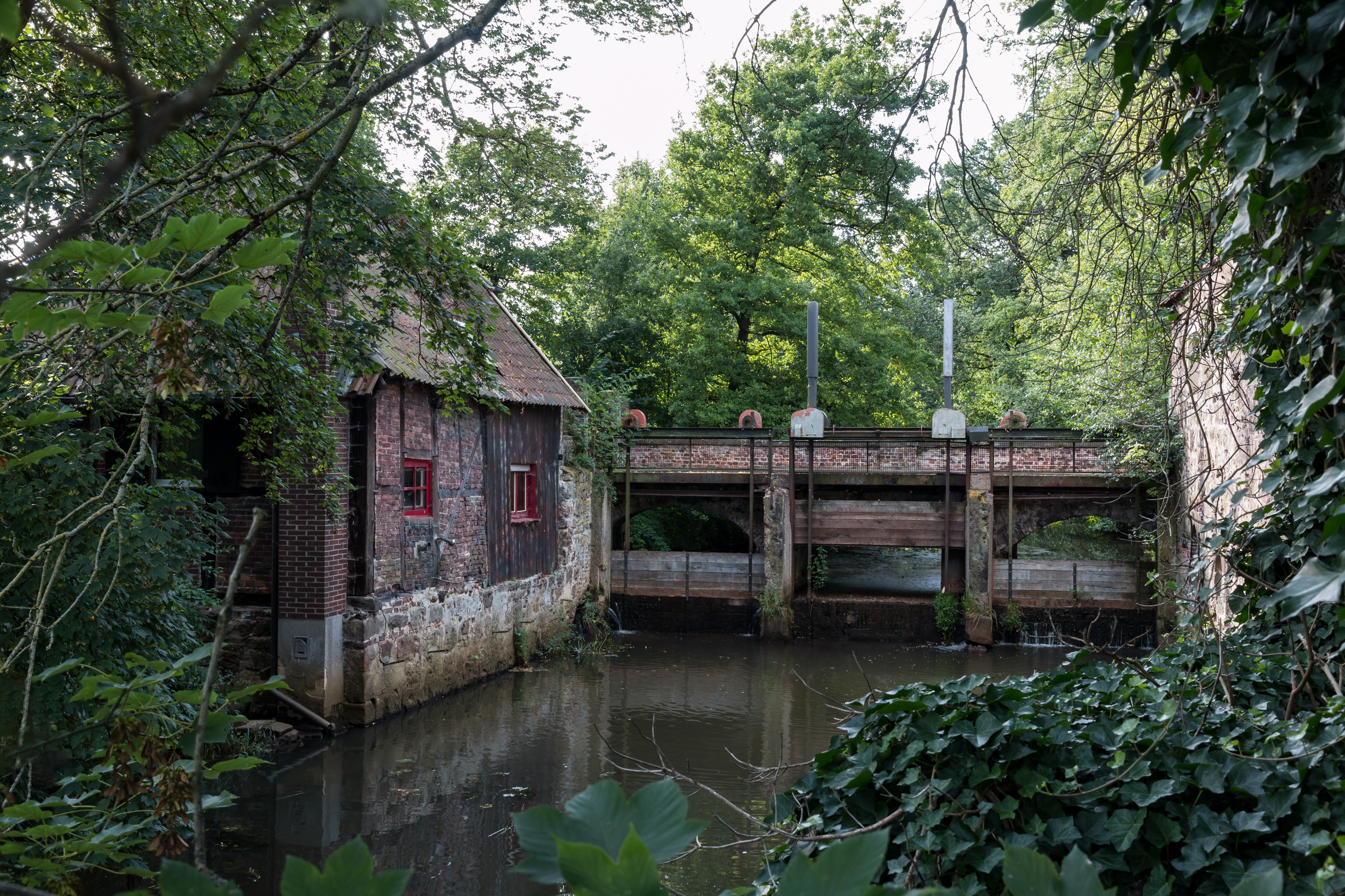 Hausdülmen, Große Teichsmühle -- 2014 -- 3065