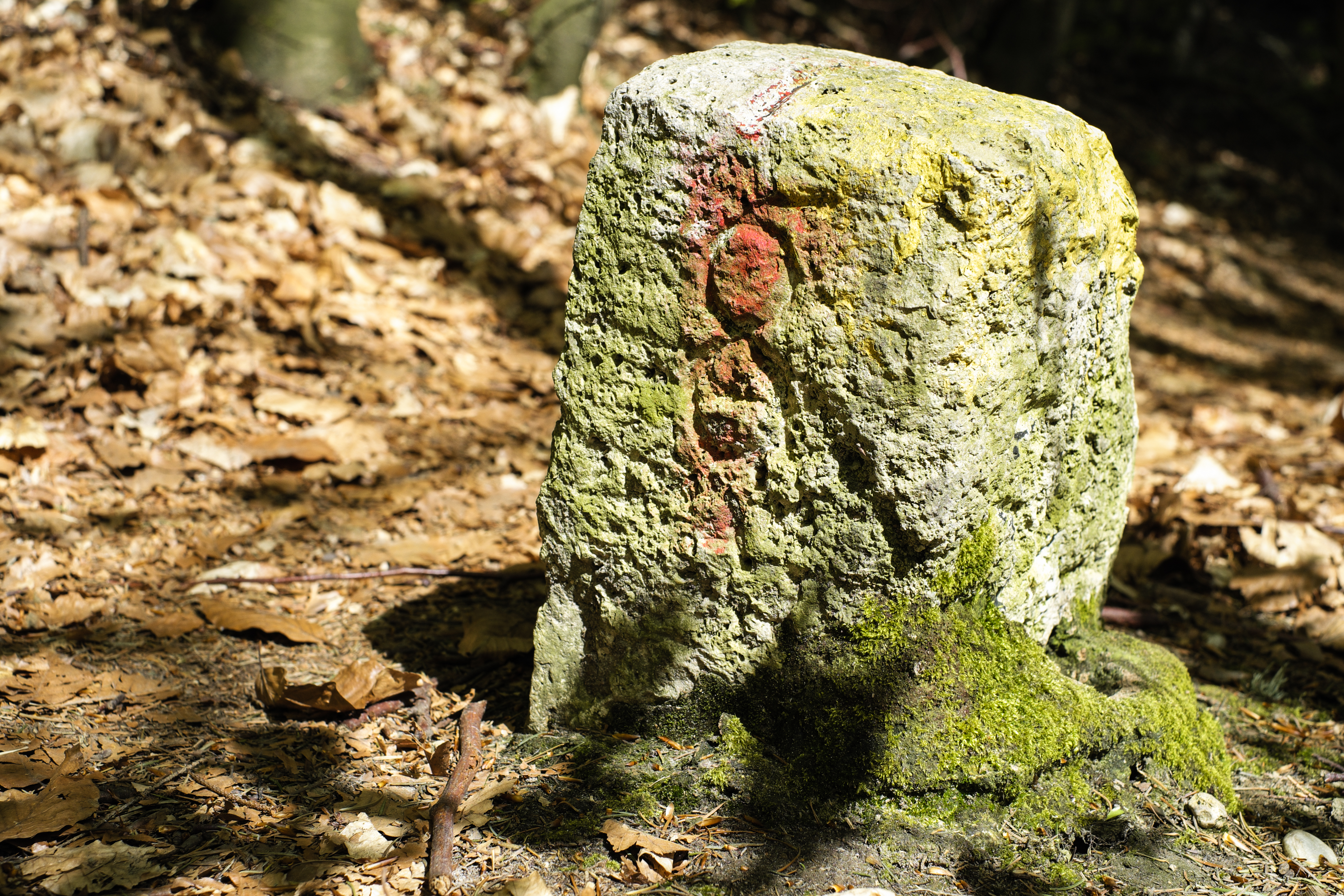 Heiligenberg-056