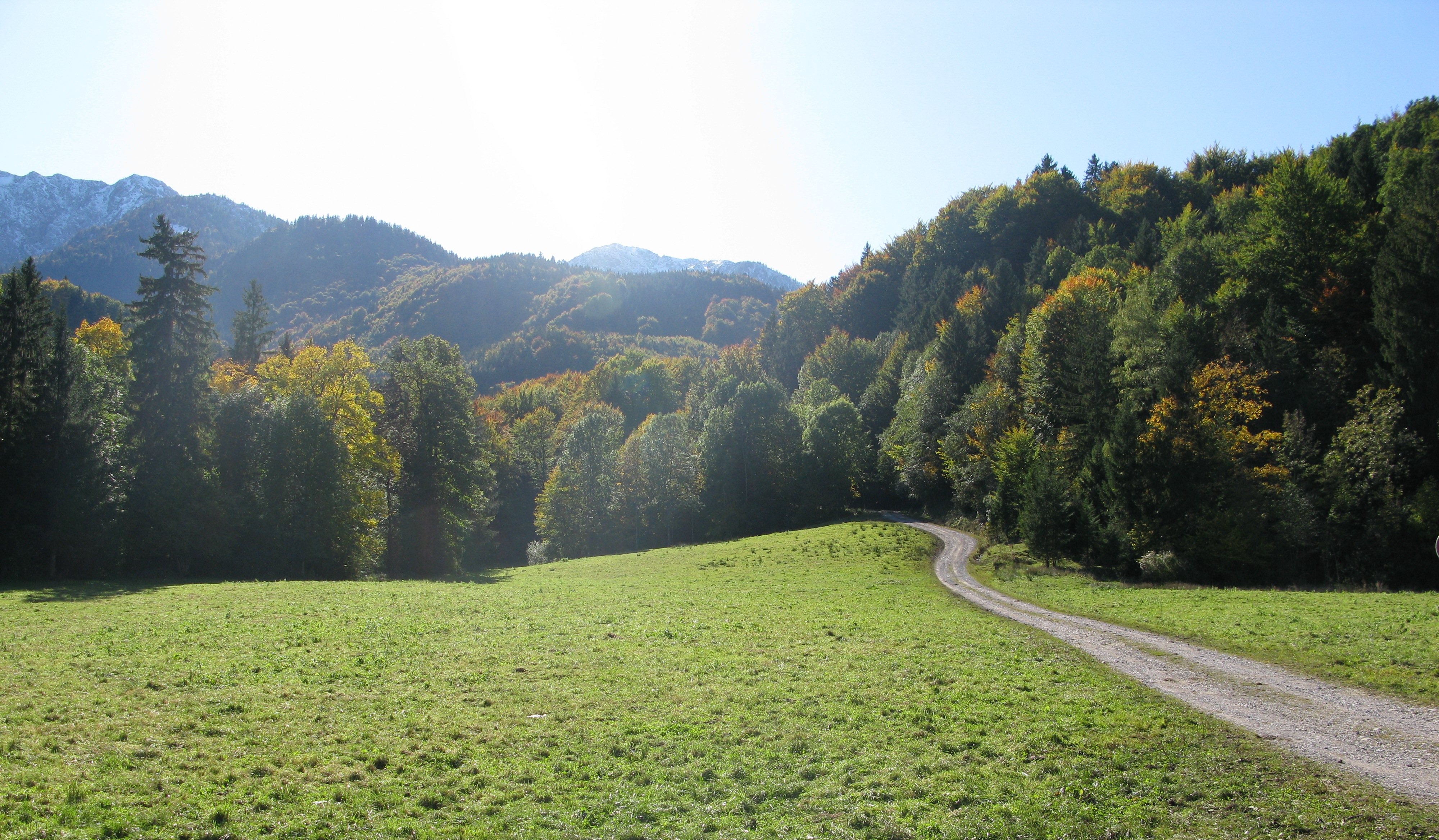 Heimgarten Schlehdorf