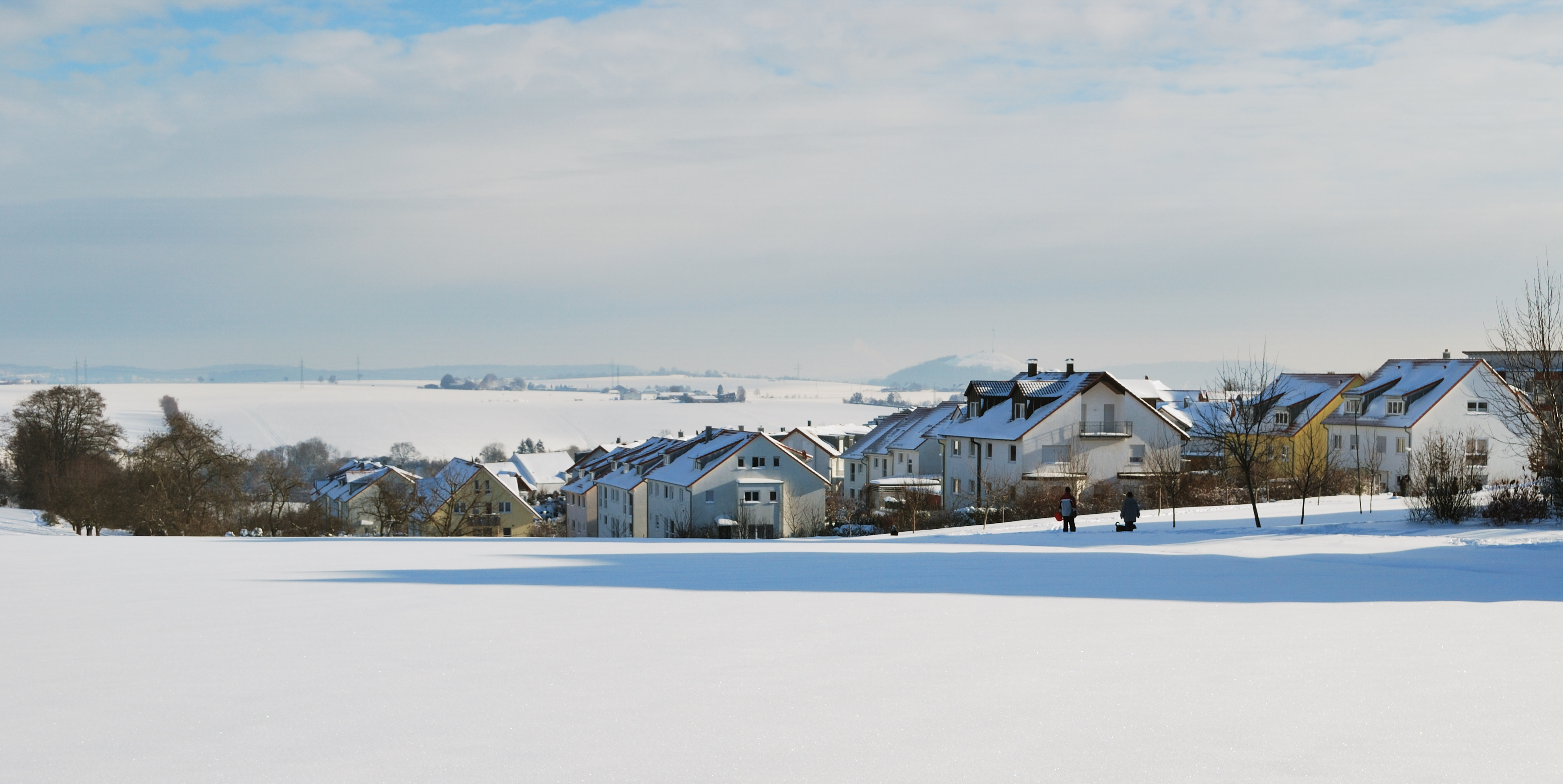 Hirschlanden Winter 2010