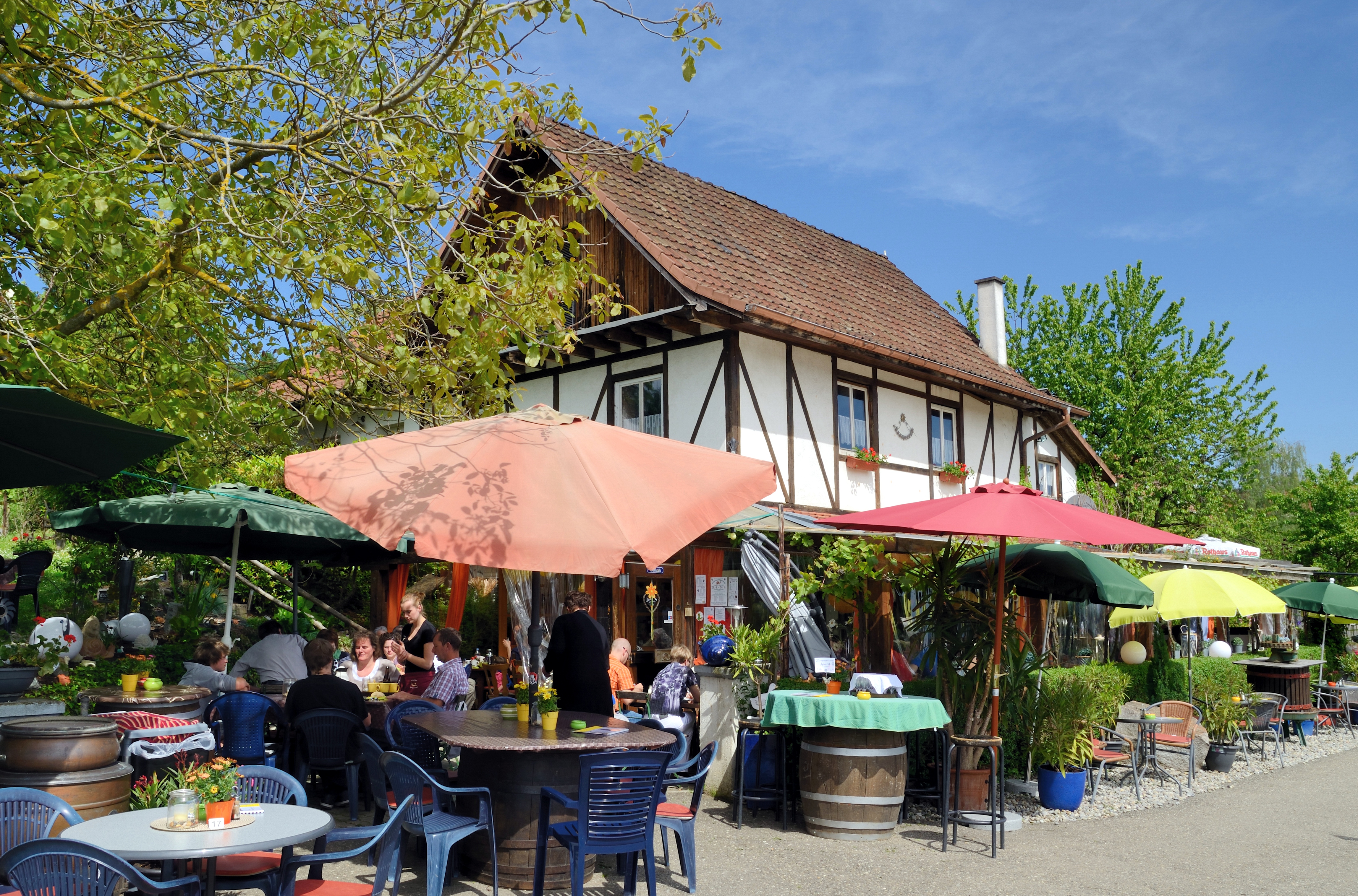 Lörrach-Tüllingen - Schneckenstraussi1