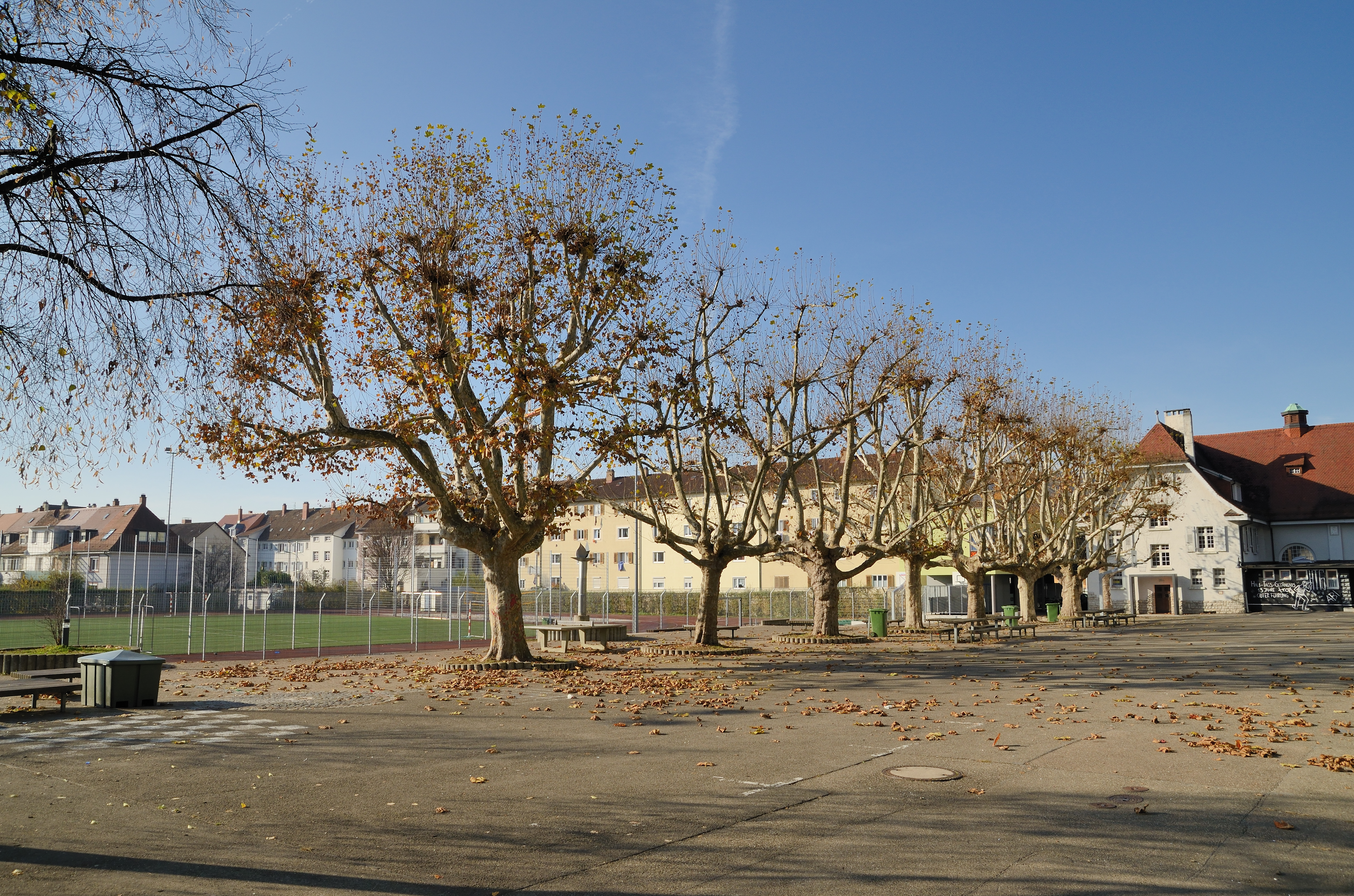 Lörrach - Hans-Thoma-Gymnasium6
