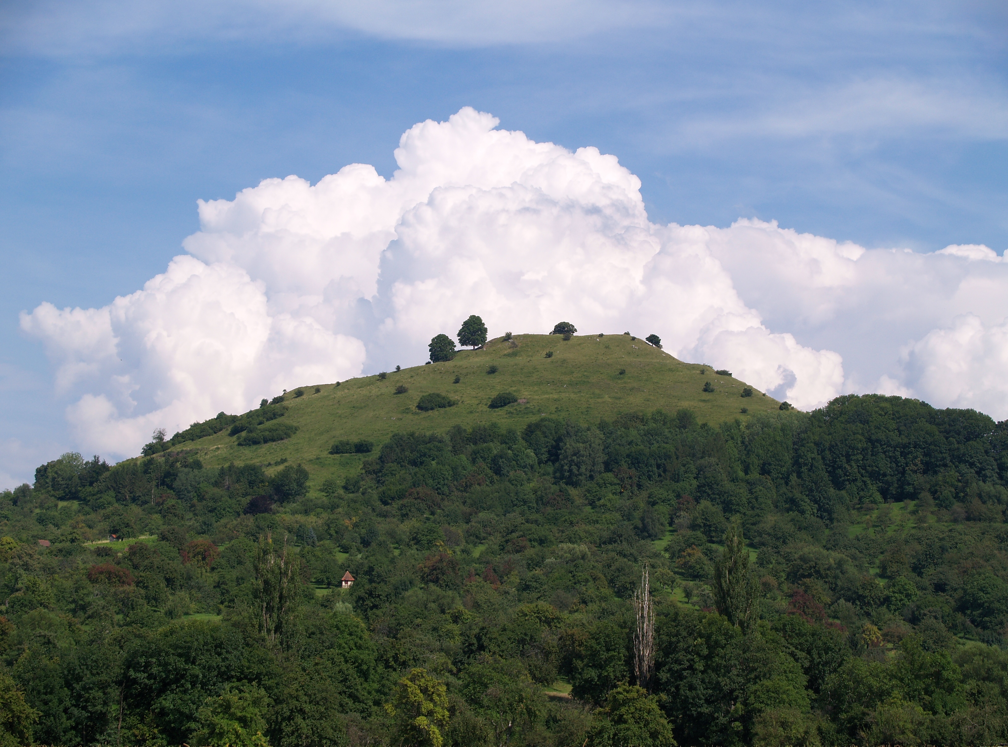 Limburg-Weilheim-2