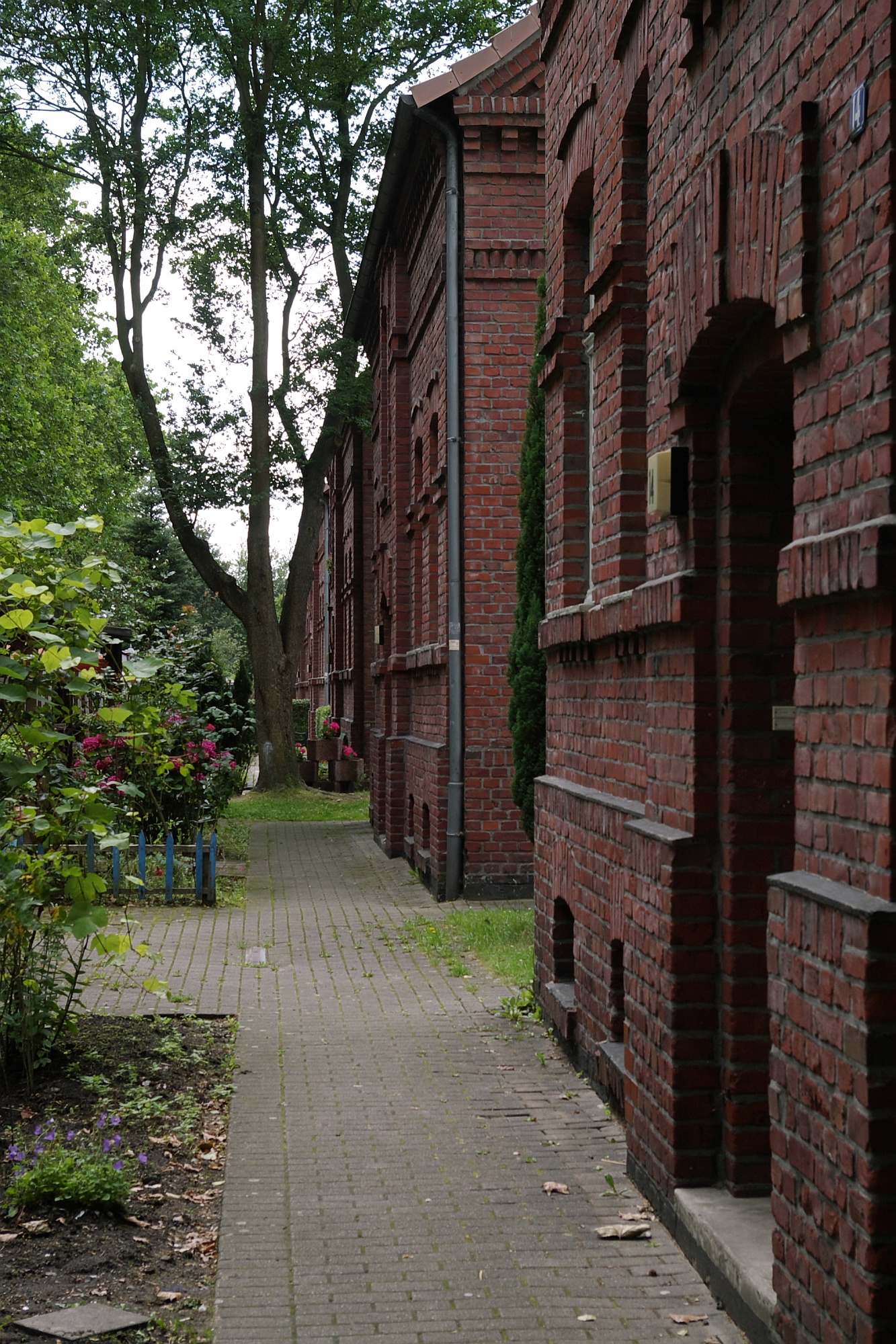 Luenen Siedlung Ziethenstrasse IMGP9097 wp