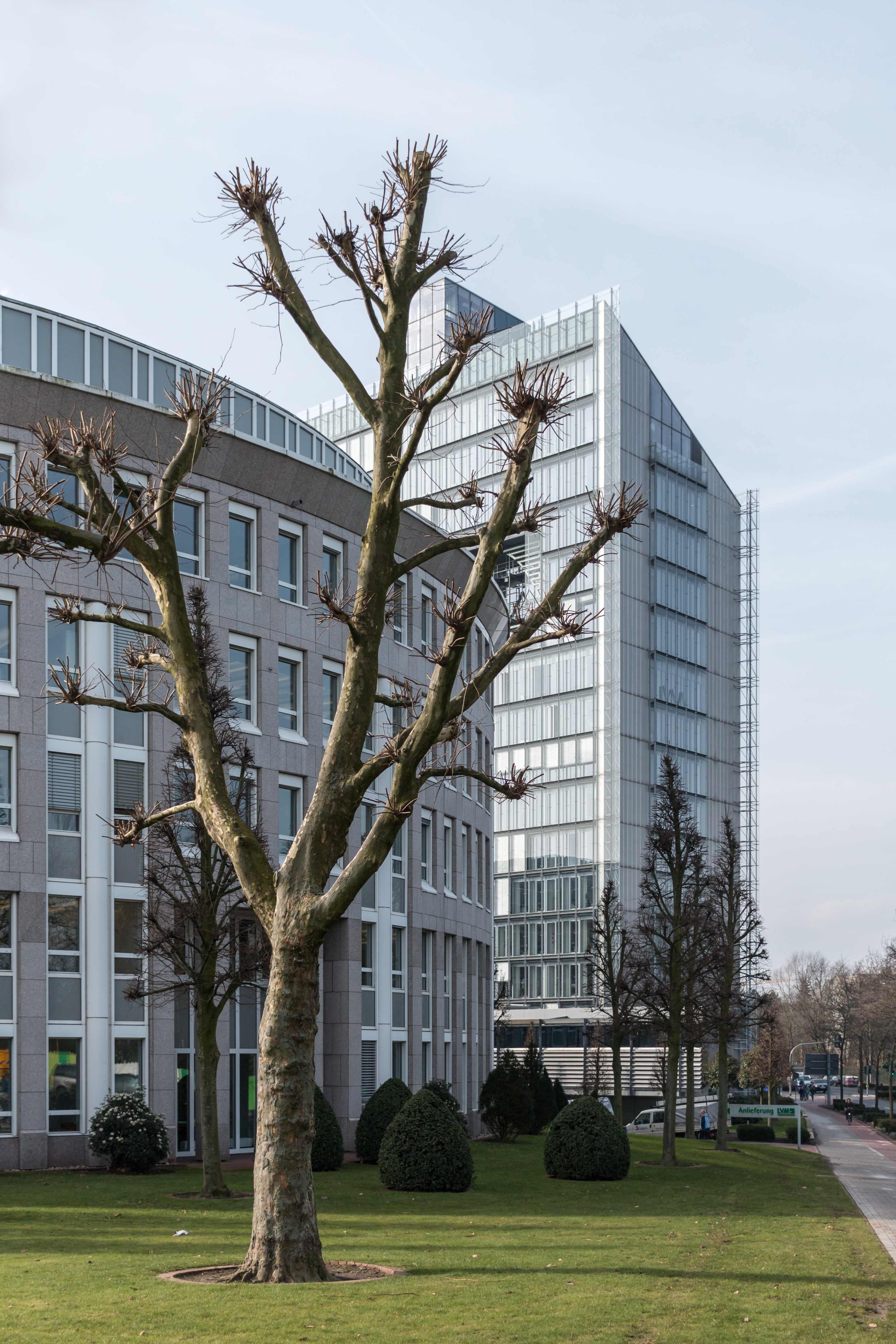 Münster, LVM -- 2016 -- 0861