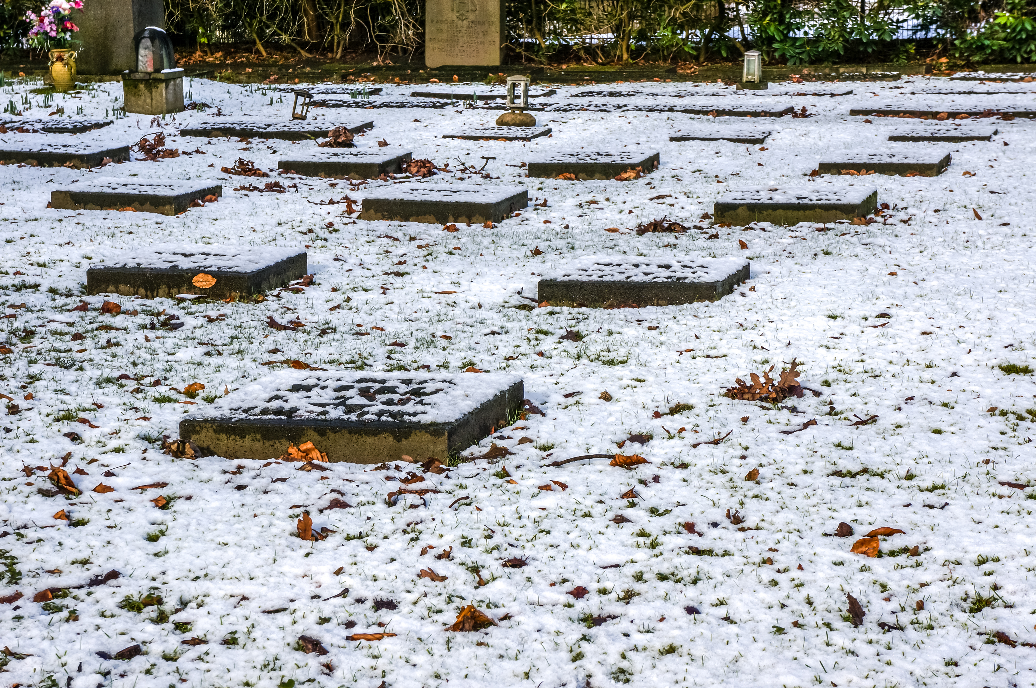 Münster, Park Sentmaring -- 2015 -- 01069
