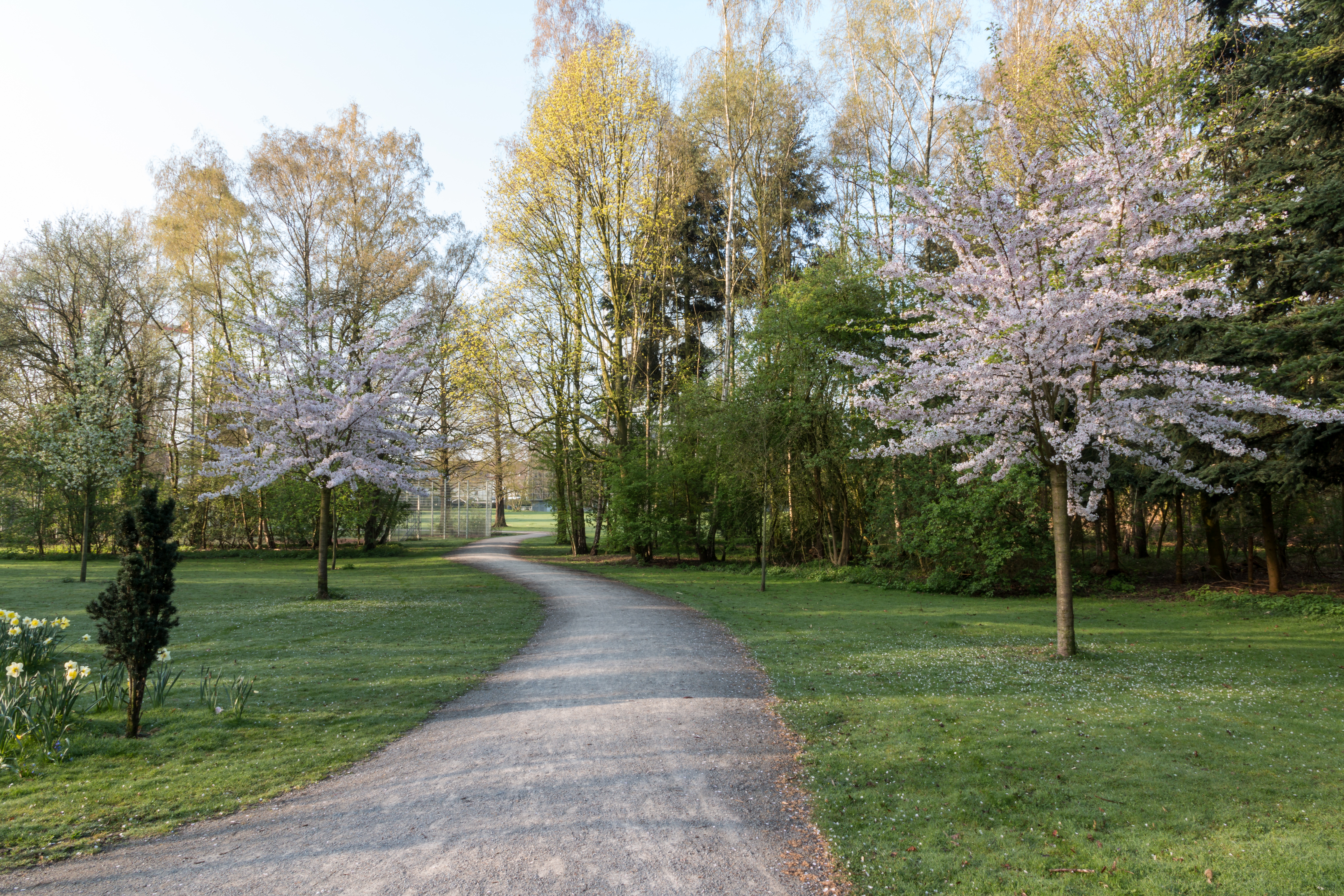 Münster, Park Sentmaring -- 2016 -- 1887