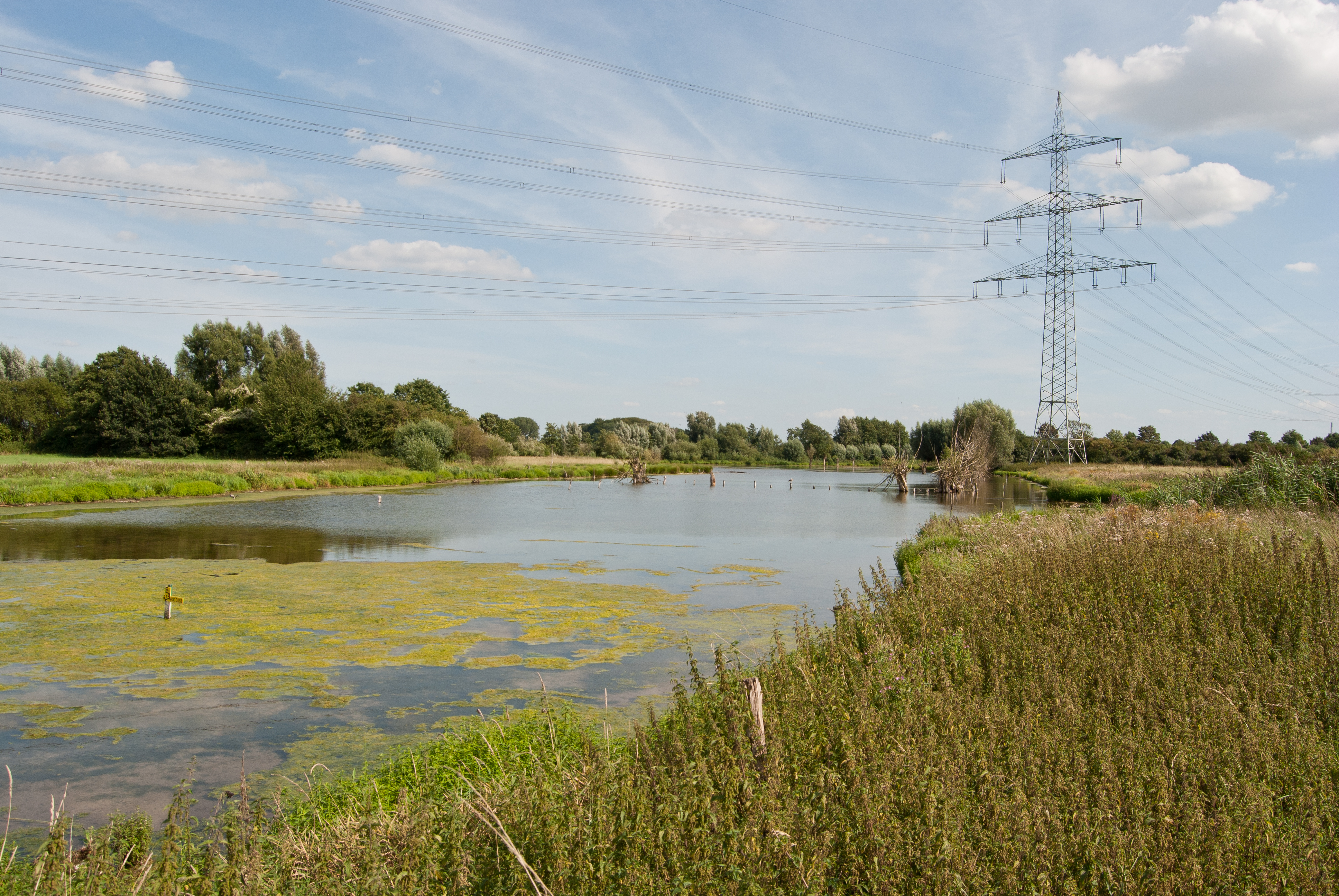 Moers, Schwafheimer Meer, 2012-08 CN-01