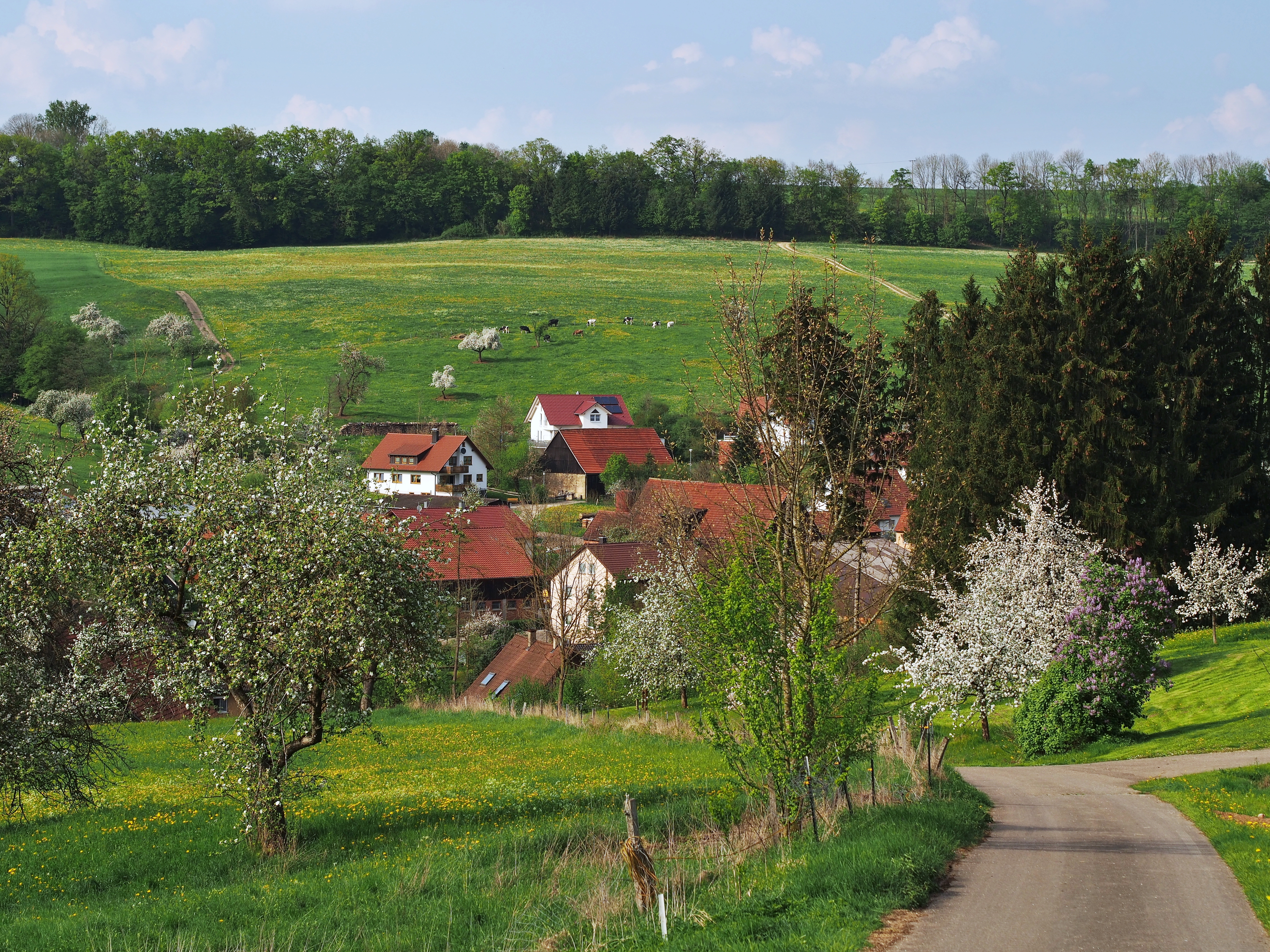 Mulfingen (Göggingen)