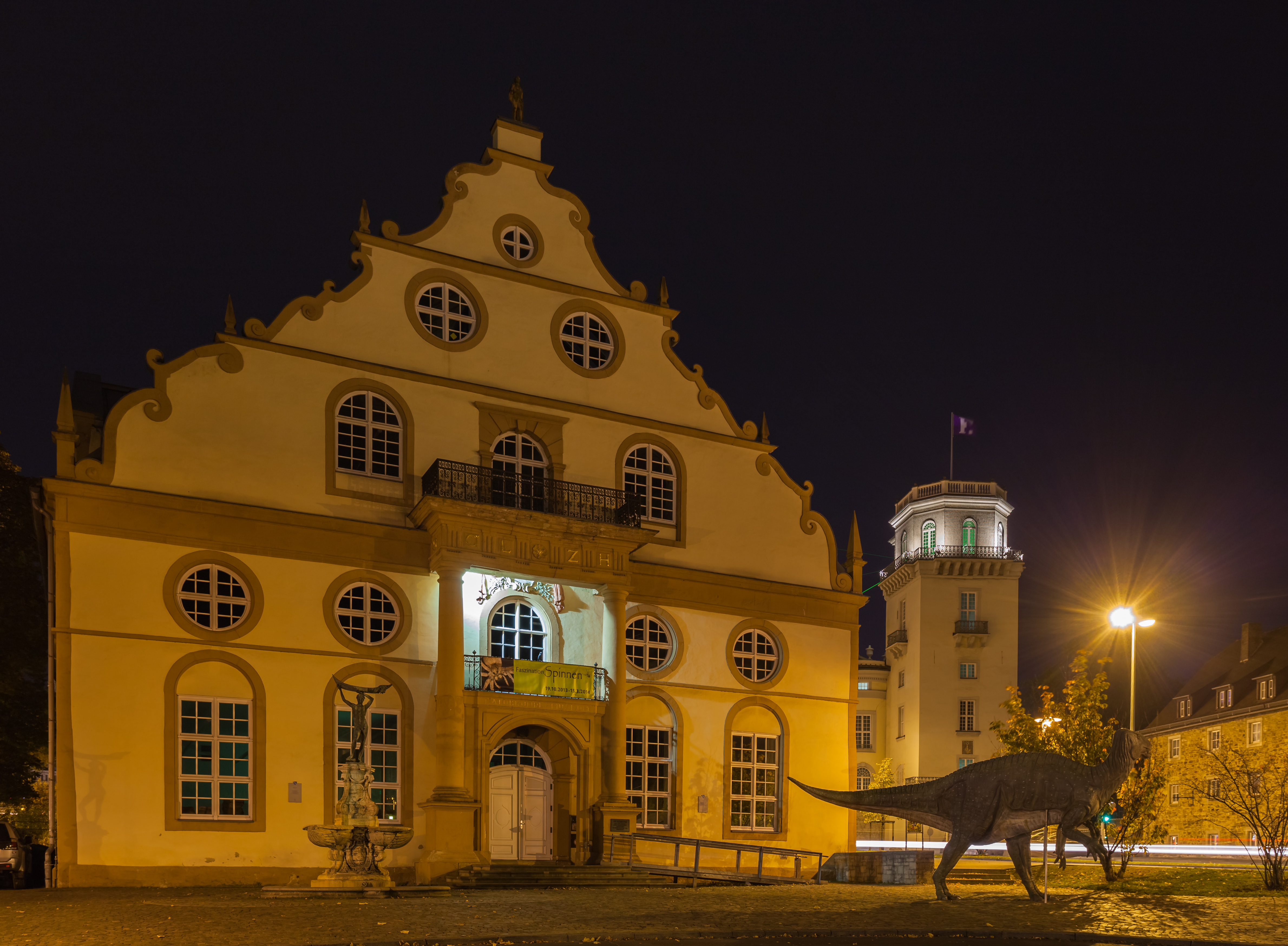 Museo de Historia Natural, Kassel, Alemania, 2013-10-19, DD 01