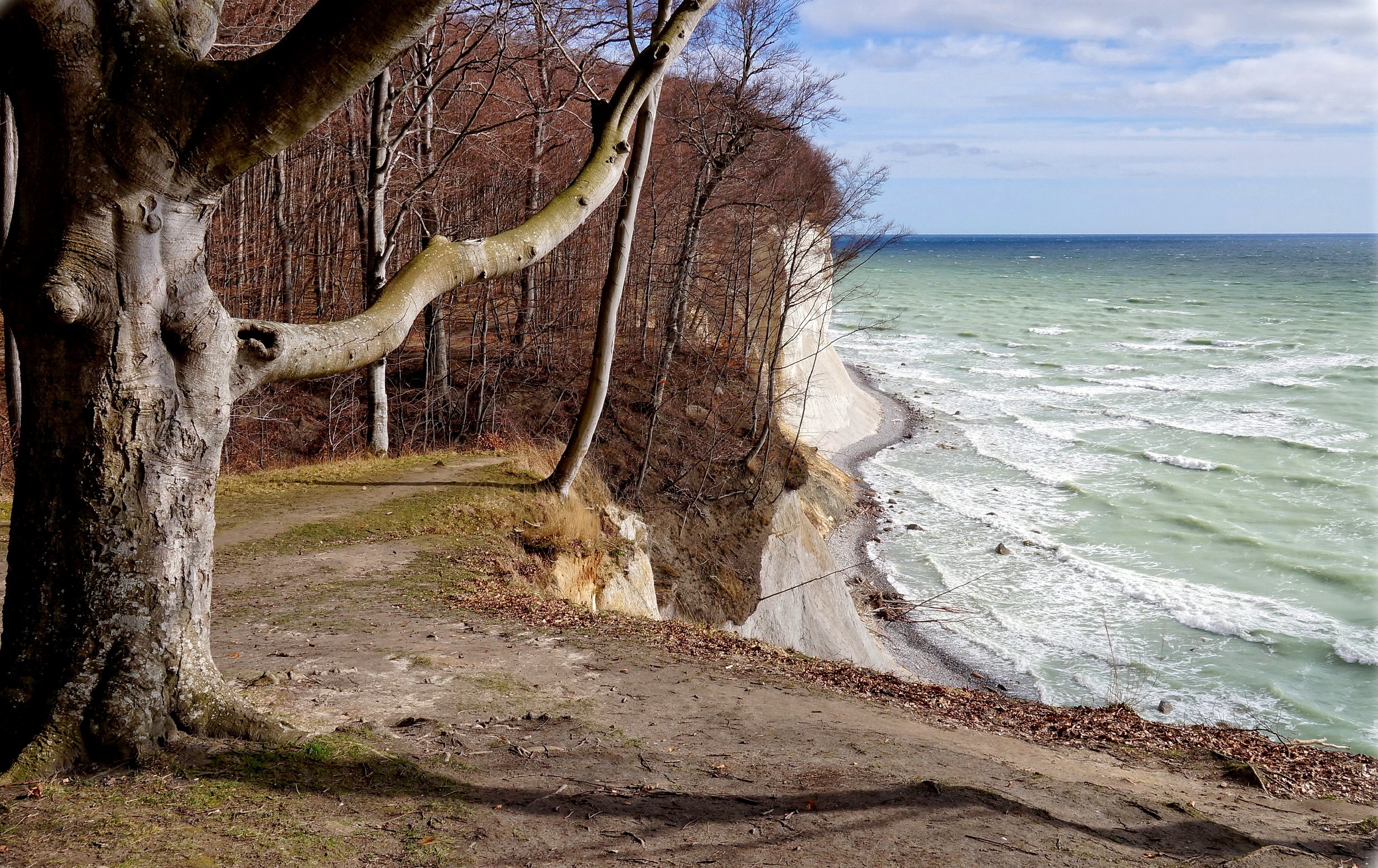 Nationalpark Jasmund - Insel Rügen