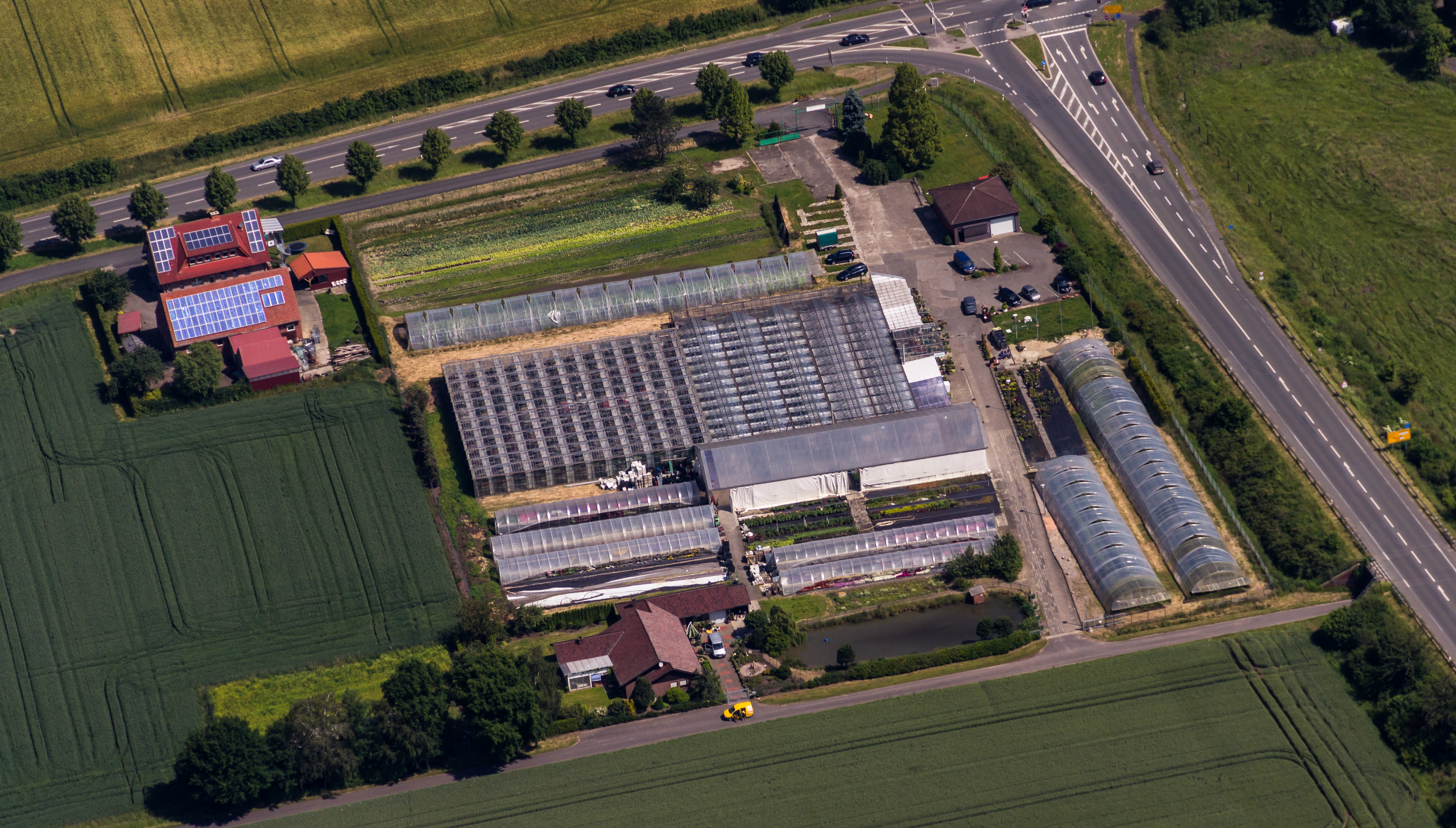 Ochtrup, Baumschule Böking -- 2014 -- 9485 -- Ausschnitt