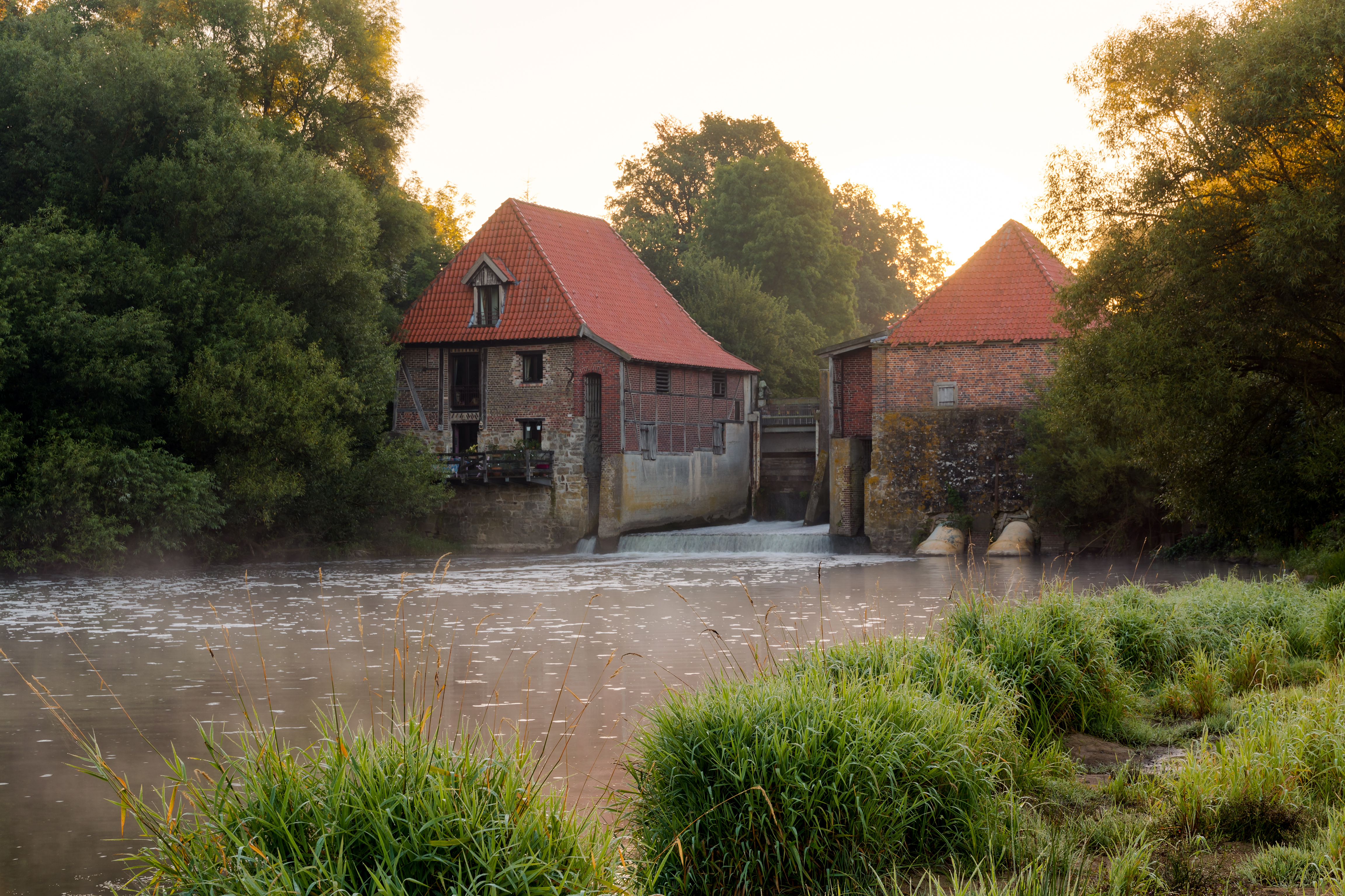 Olfen, Füchtelner Mühle -- 2016 -- 3900-6