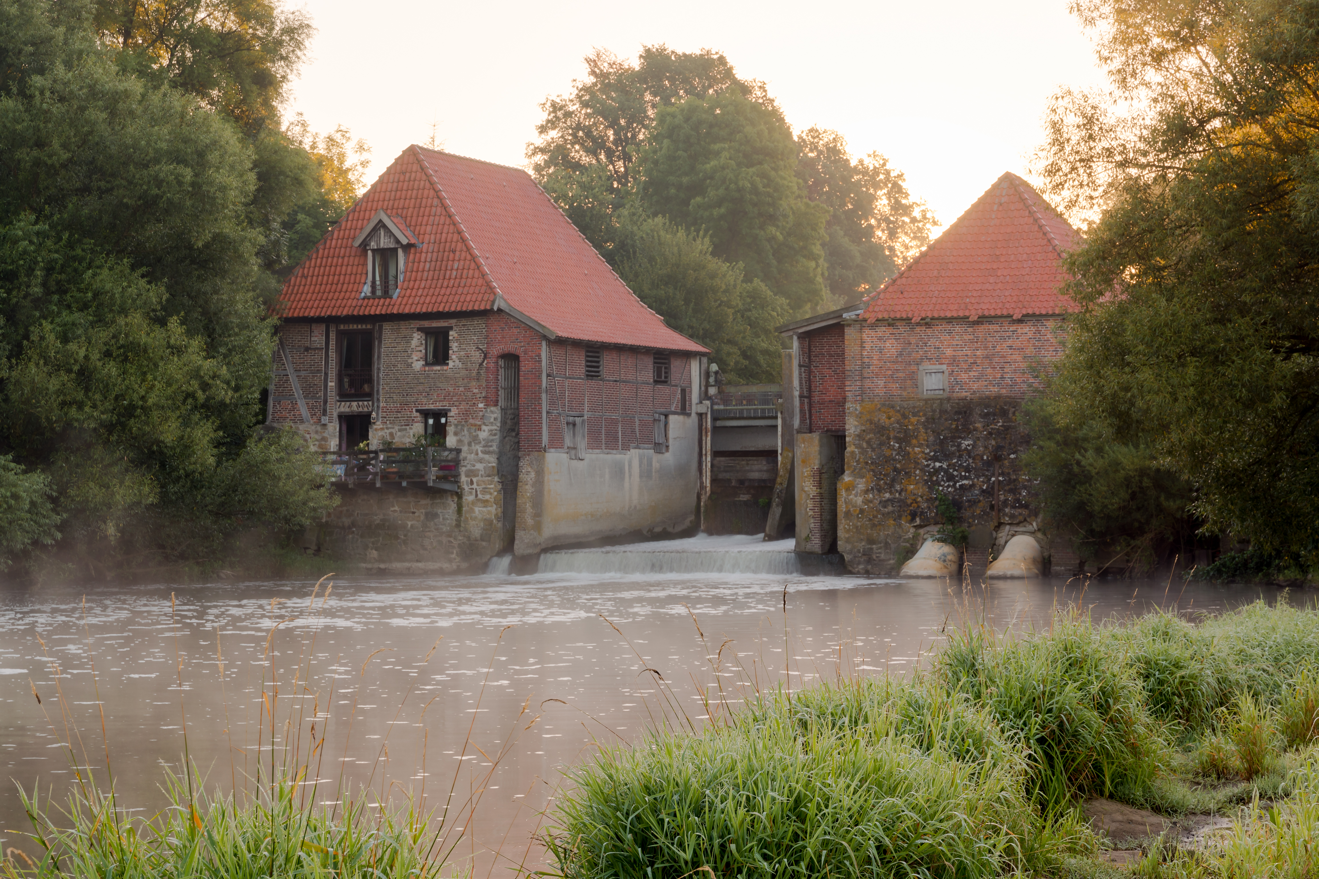 Olfen, Füchtelner Mühle -- 2016 -- 3907-13