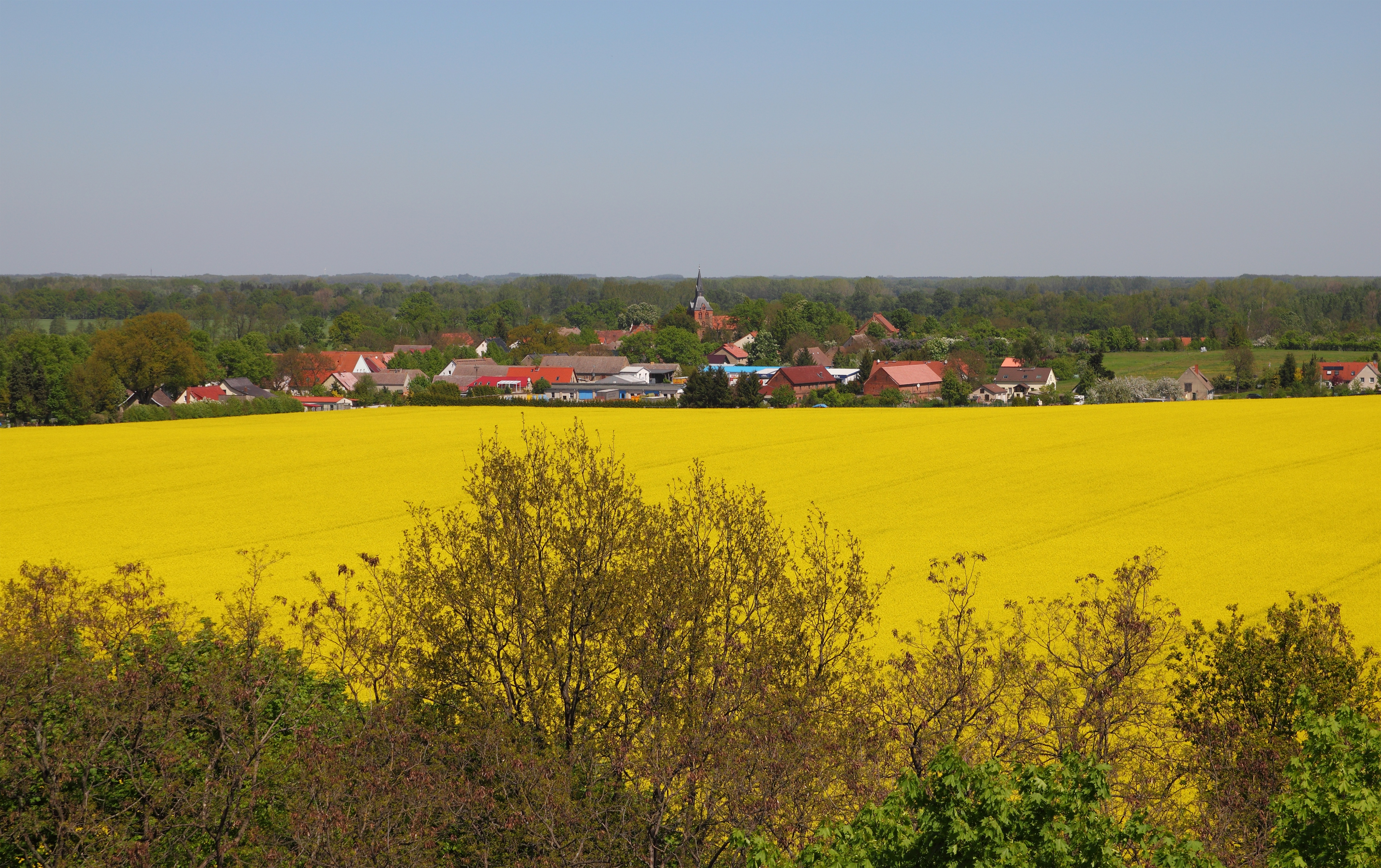OPR Hakenberg Aussicht vom Schlachtdenkmal