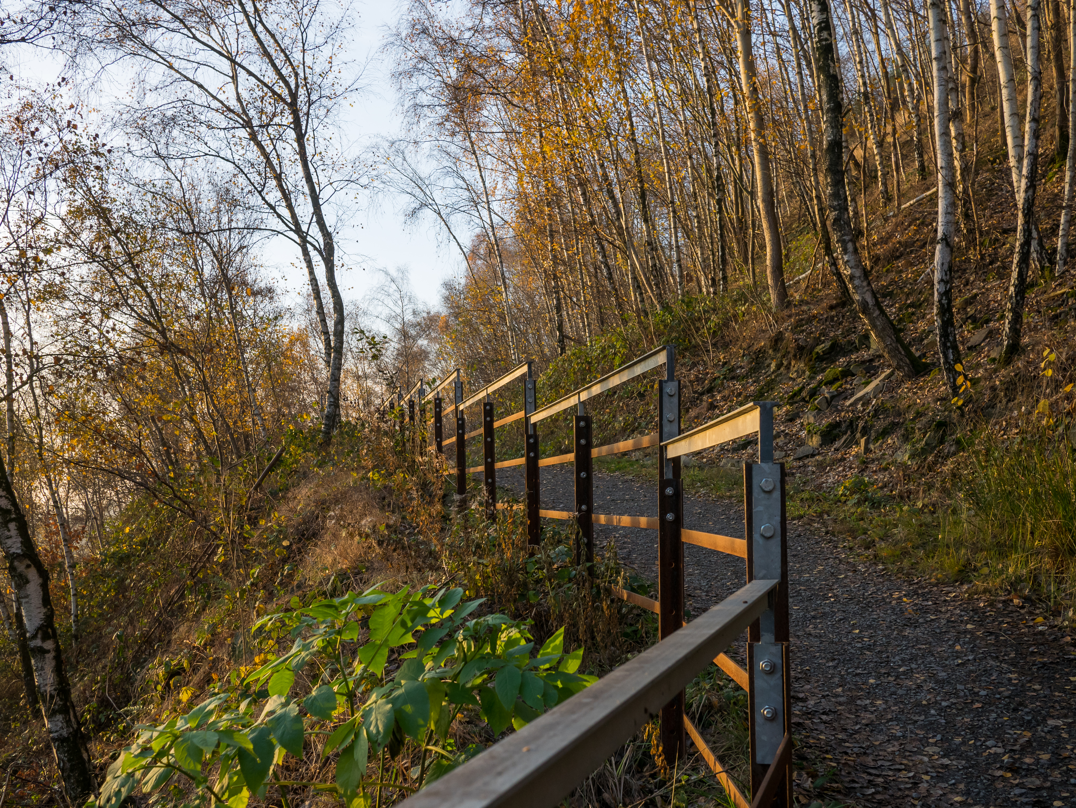 Osnabrück - Piesberg - Geländer 01