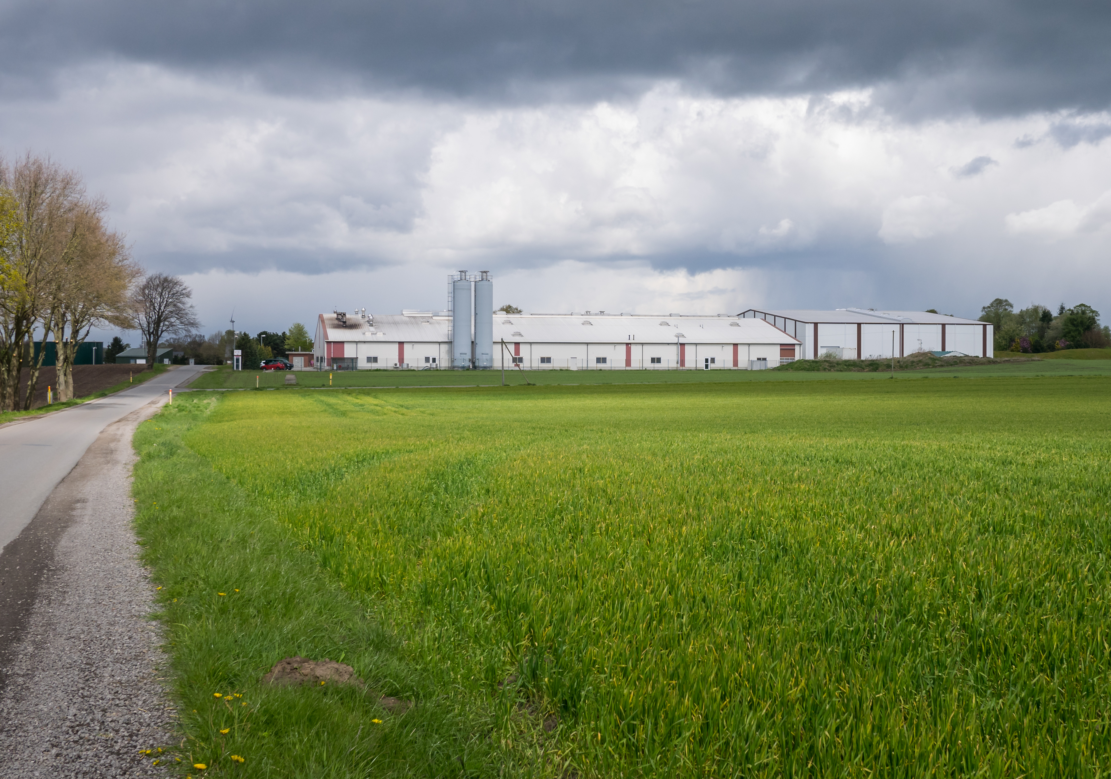 Ostercappeln - Landschaft - Meyer zu Venne 01