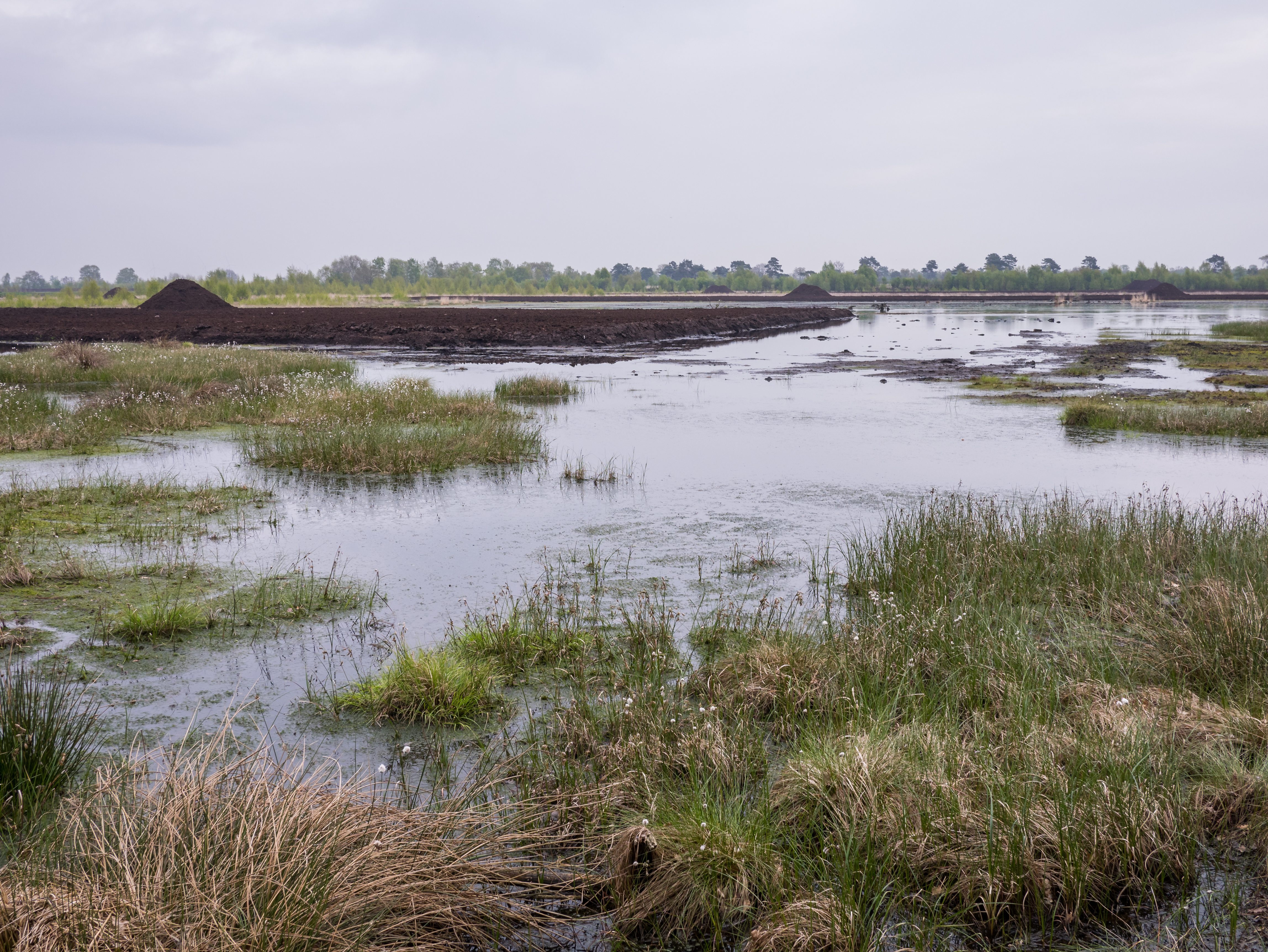 Ostercappeln - Venne - Venner Moor 02