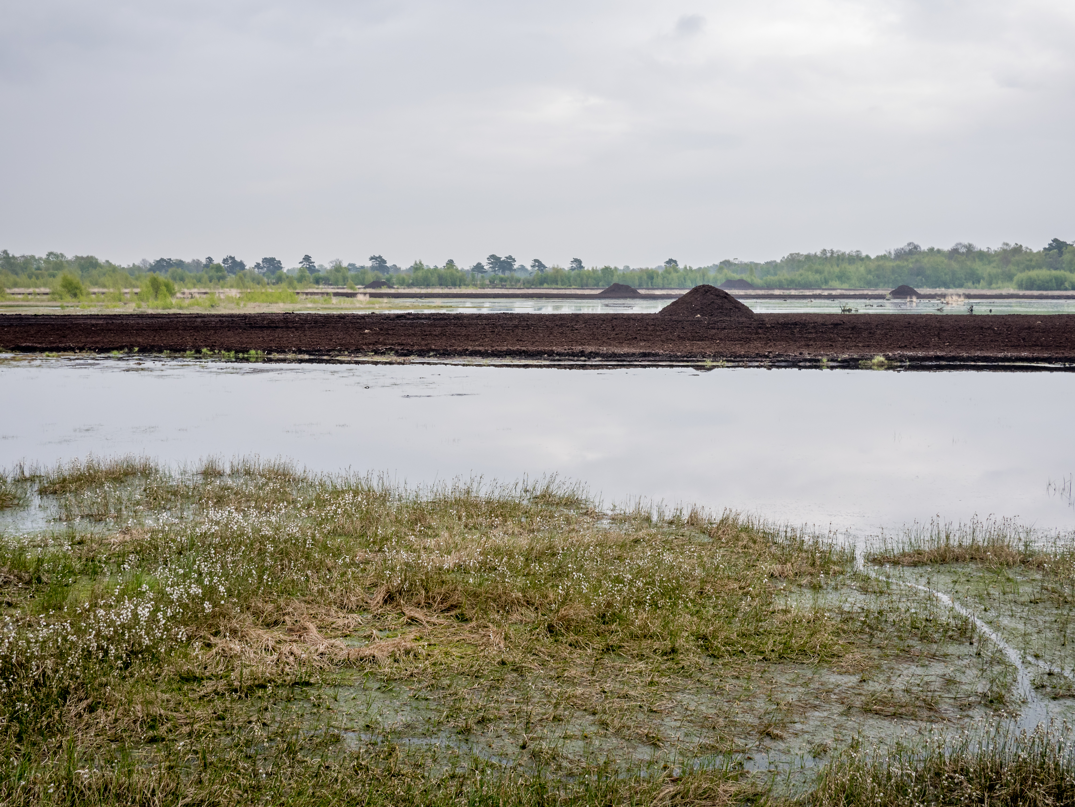 Ostercappeln - Venne - Venner Moor 03