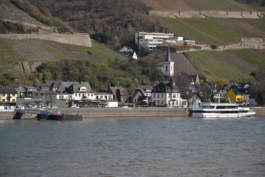 Assmannshausen - view