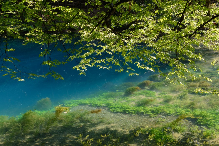 Blaubeuren Blautopf 20180804 02