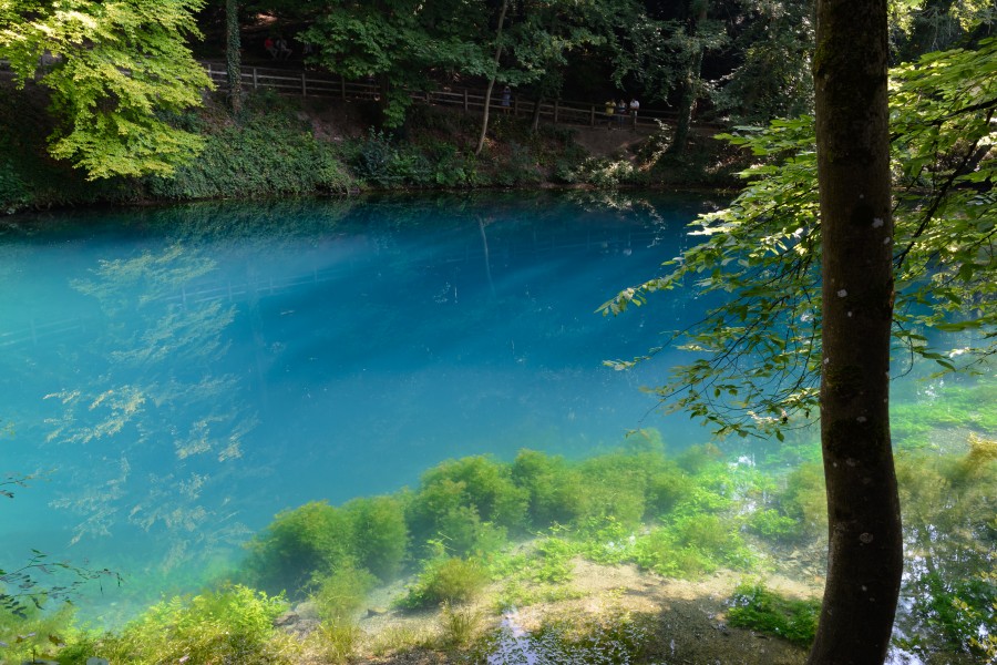 Blaubeuren Blautopf 20180804 03