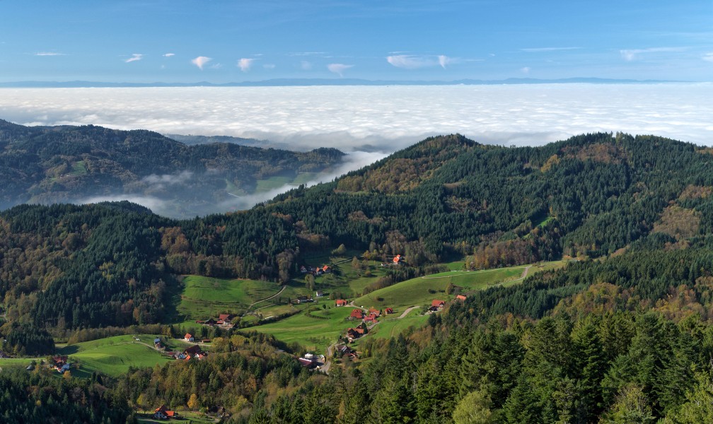 Blick vom Hohfelsen