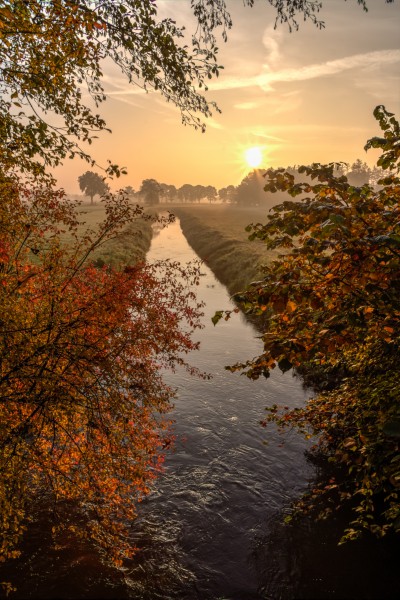 Dülmen, Börnste, Kettbach -- 2015 -- 9892-6