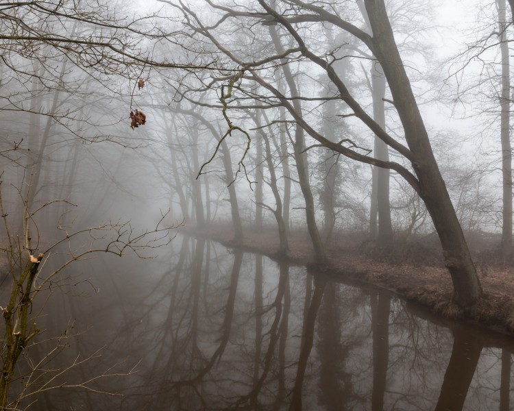 Dülmen, Börnste, Kettbach -- 2016 -- 1296