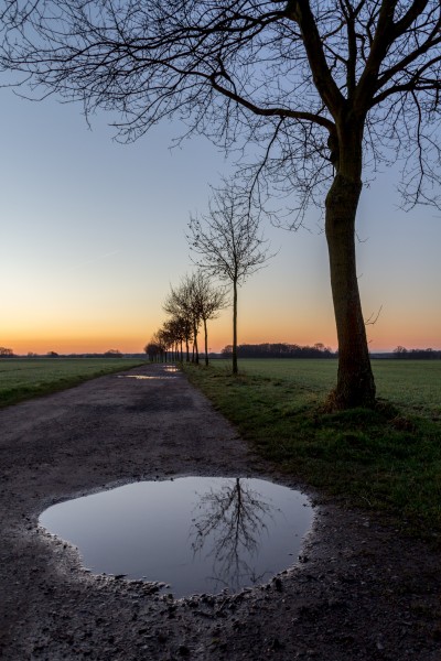 Dülmen, Feldweg -- 2014 -- 1