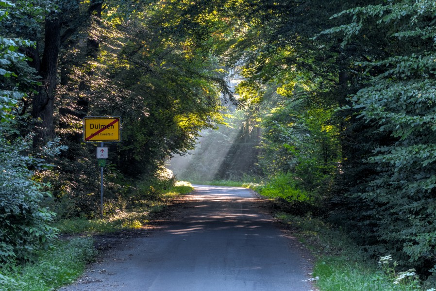 Dülmen, Hülsenweg -- 2015 -- 7703-7