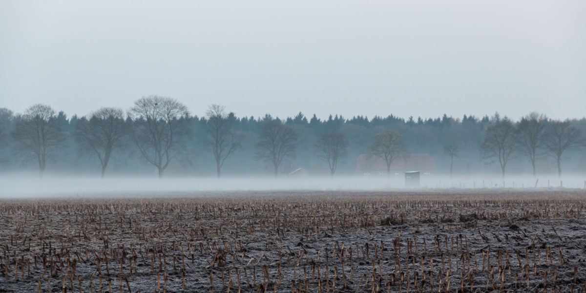 Dülmen, Hausdülmen, Feld -- 2016 -- 1779
