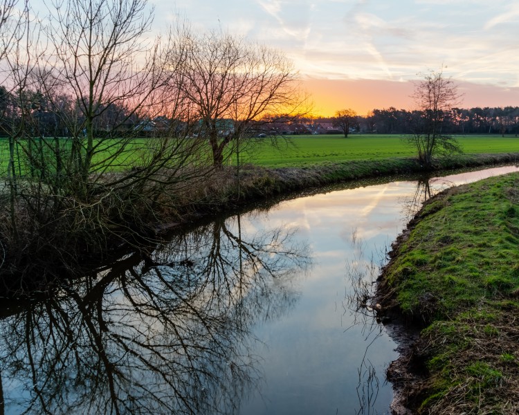 Dülmen, Hausdülmen, Heubach -- 2015 -- 0103-7