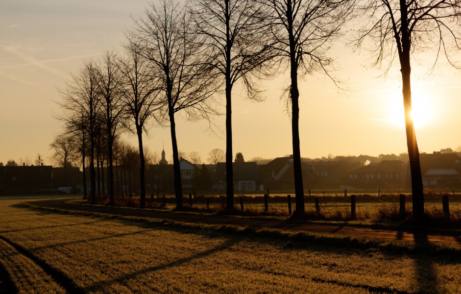 Dülmen, Hausdülmen, Wallgarten -- 2015 -- 0223-7