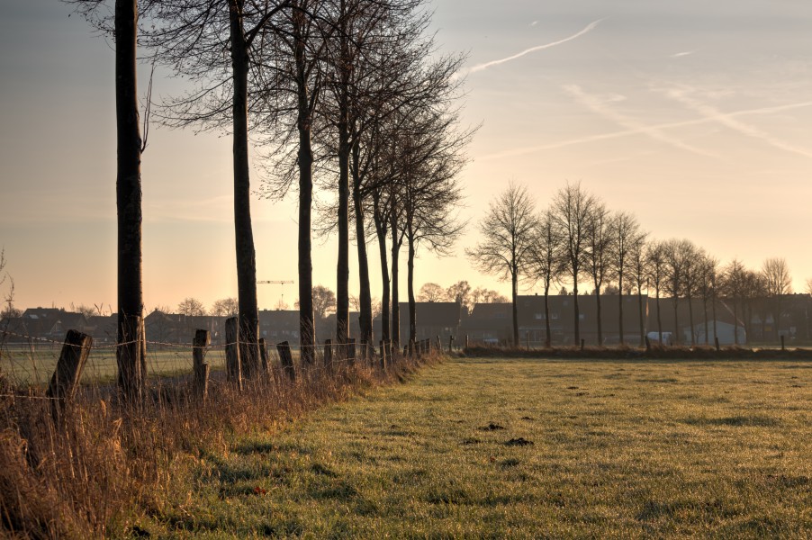 Dülmen, Hausdülmen, Wallgarten -- 2015 -- 0228-32