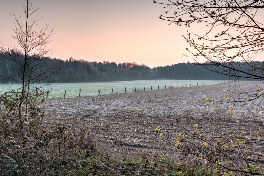 Dülmen, Kirchspiel, Wiese in der Bauerschaft Börnste -- 2016 -- 1791-7