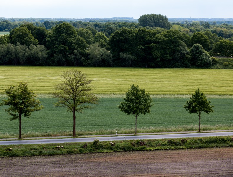 Dülmen, Mühlenweg -- 2015 -- 6425
