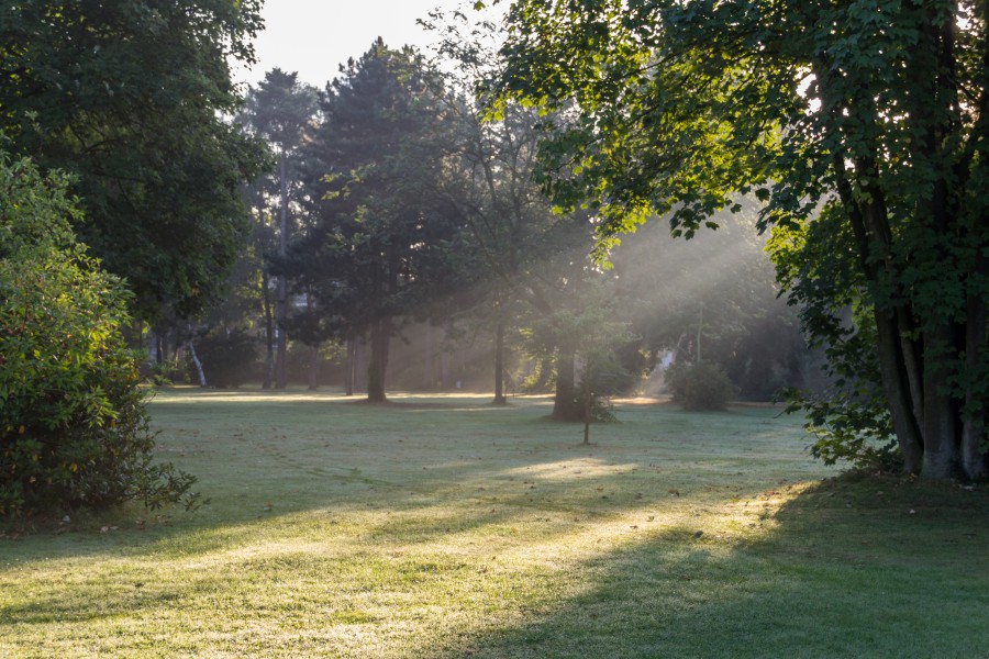 Dülmen, Mühlenwegfriedhof -- 2012 -- 8076